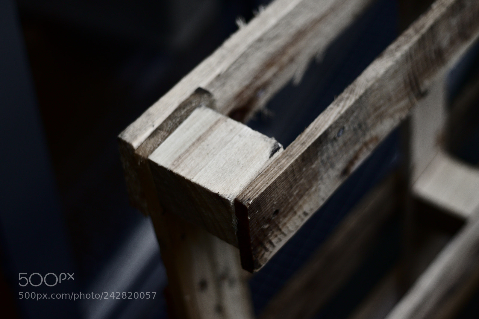 Canon EOS 200D (EOS Rebel SL2 / EOS Kiss X9) + Canon EF 50mm F1.8 STM sample photo. Wood photography