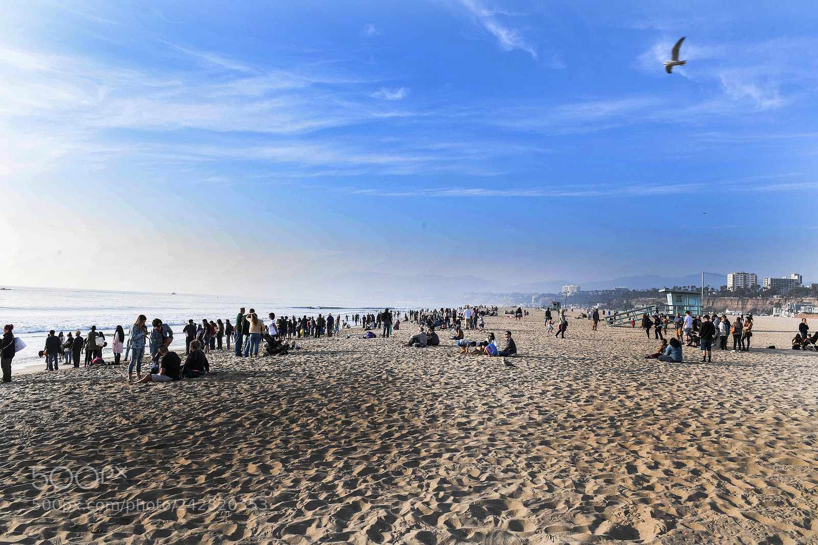 Nikon D5 sample photo. Santa monica beach photography