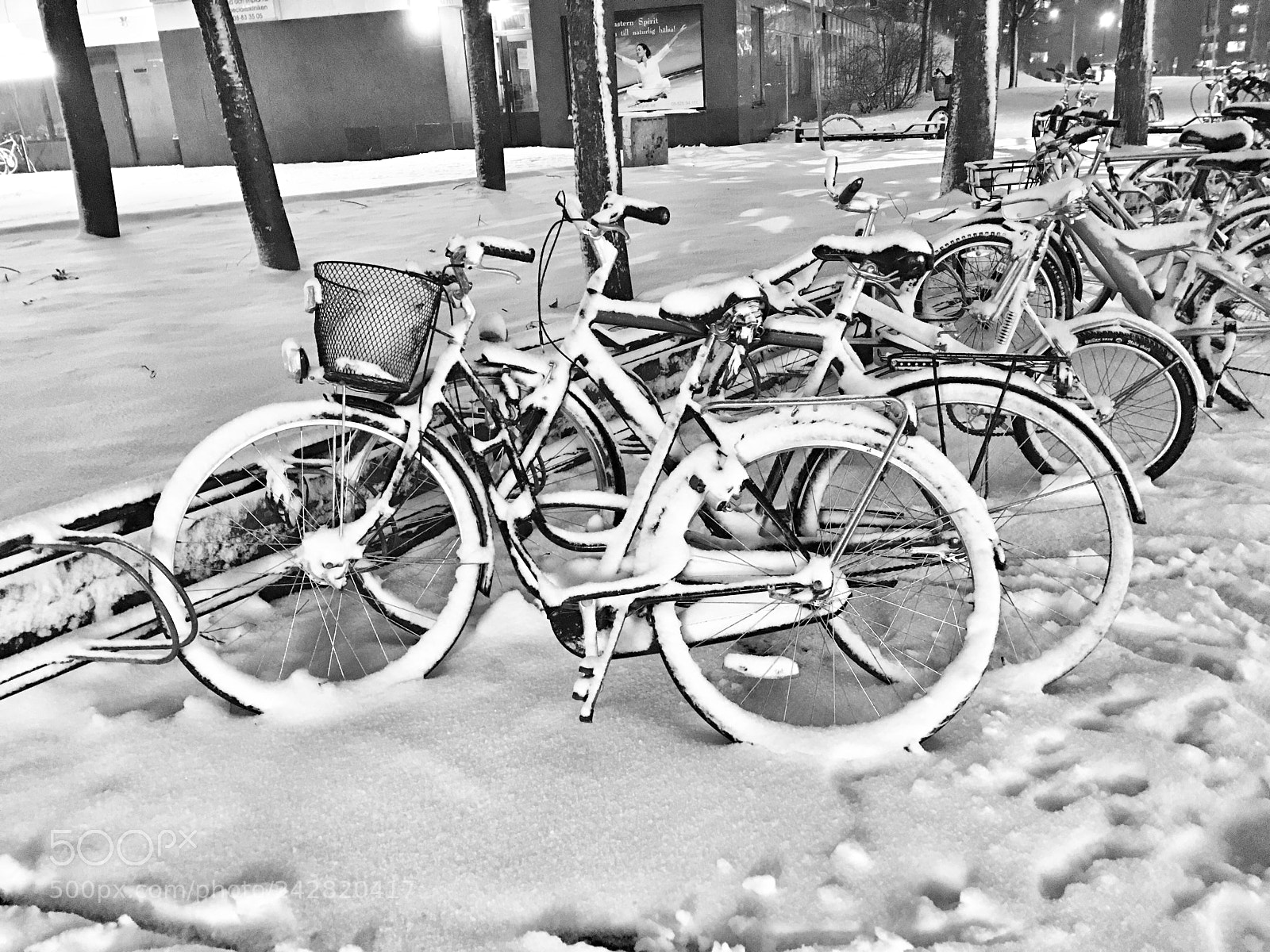 Apple iPhone 6s Plus sample photo. Snow photography