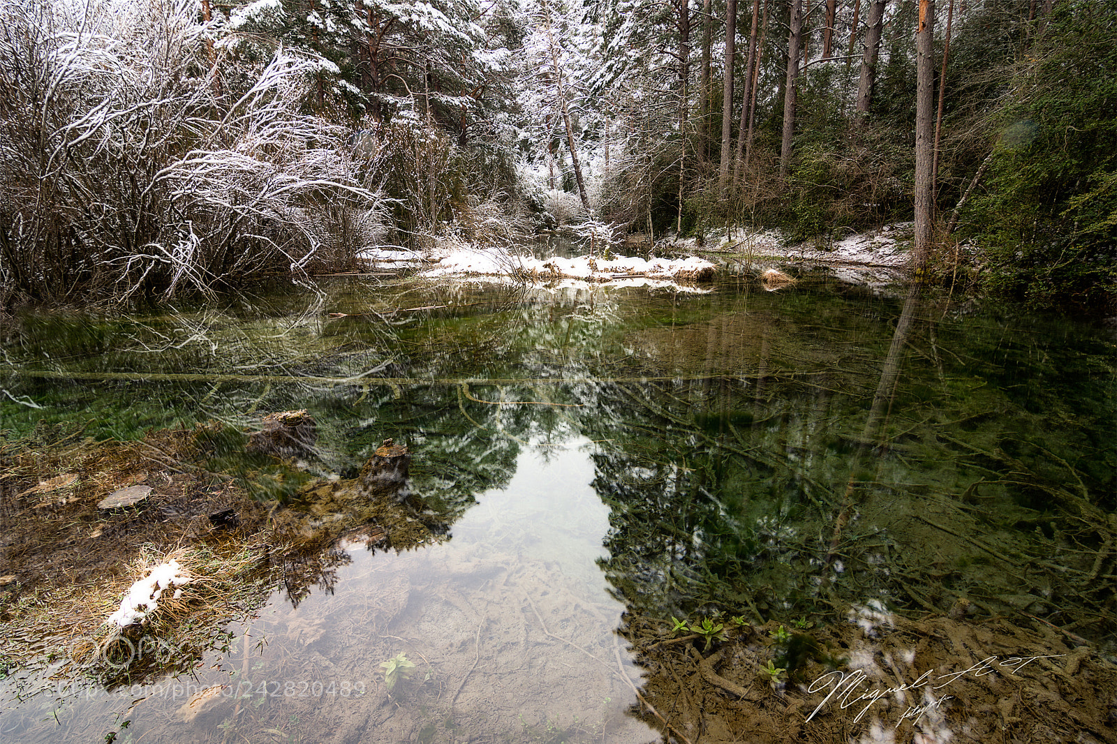 Nikon D7200 sample photo. Reflejos photography