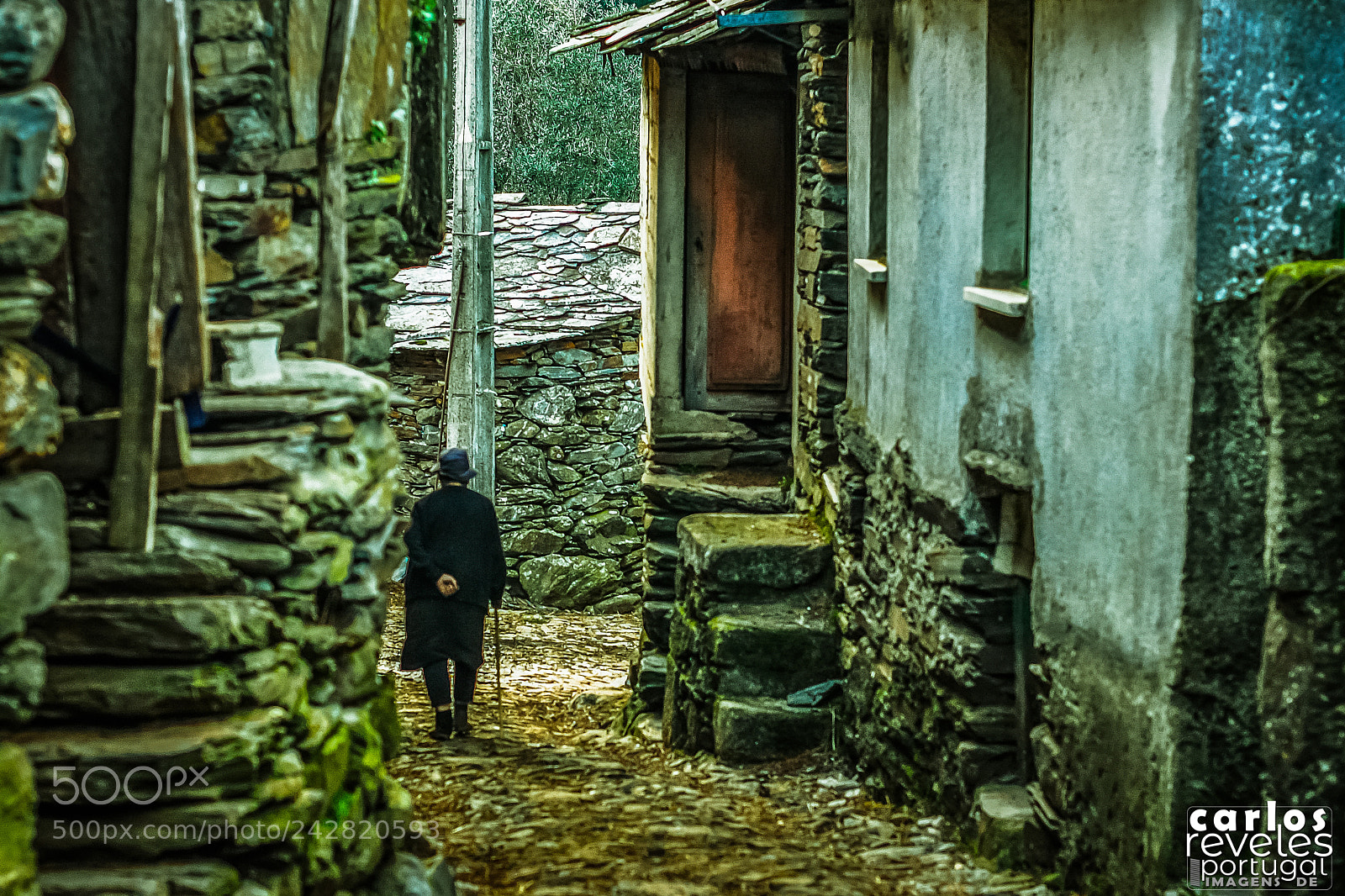 Nikon D5000 sample photo. Covas do monte, s photography
