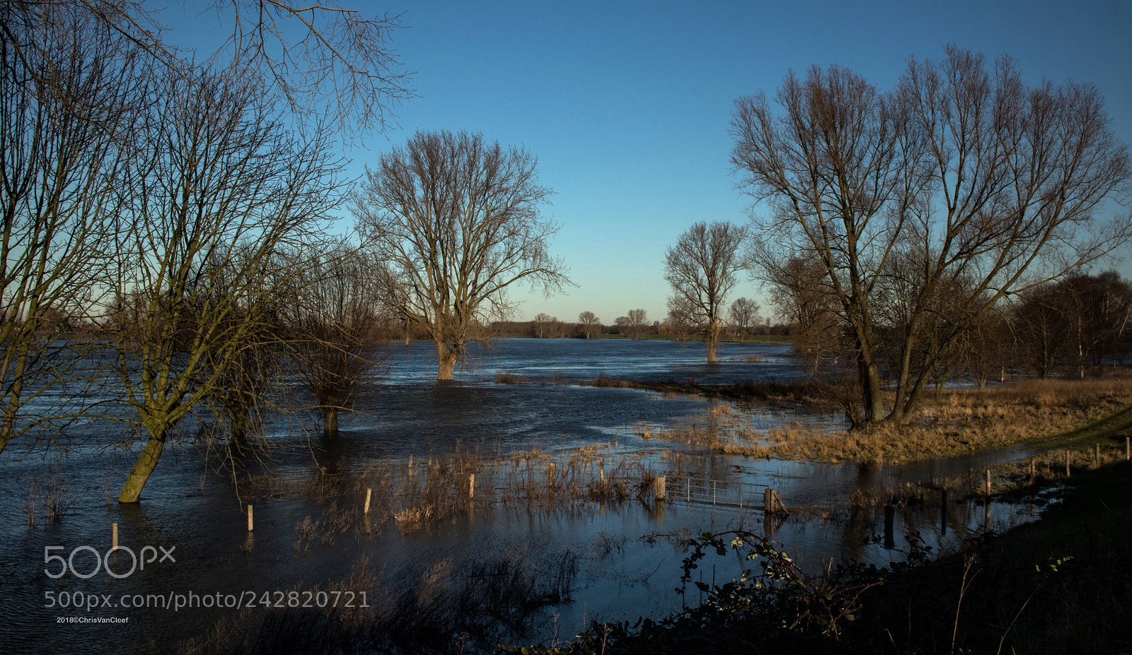 Canon EOS M5 sample photo. Drowned land along the photography