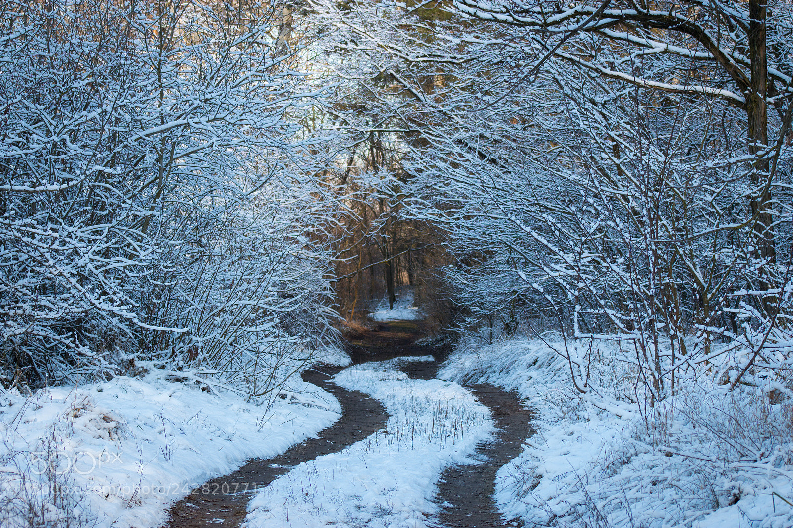 Canon EOS 70D sample photo. Winter wonderland ❄️ photography