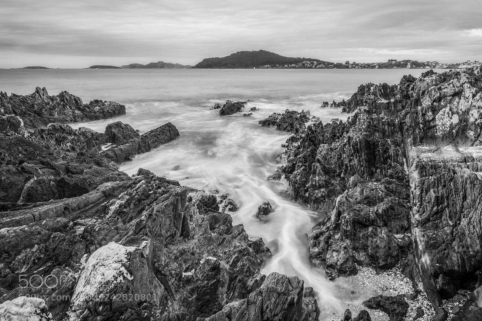 Sony SLT-A58 sample photo. Black and white monte photography