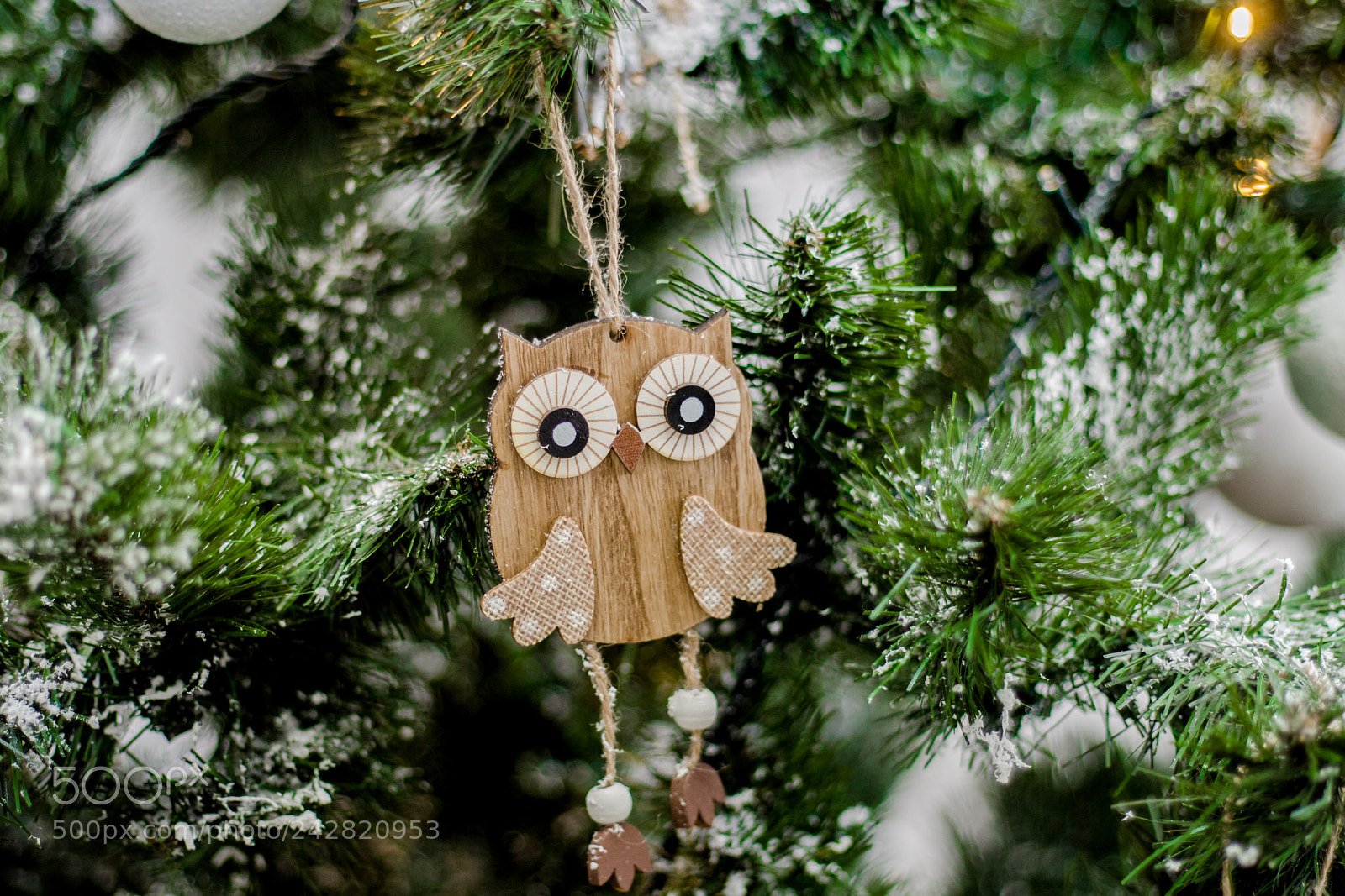 Canon EOS-1D Mark III sample photo. Christmas tree photography