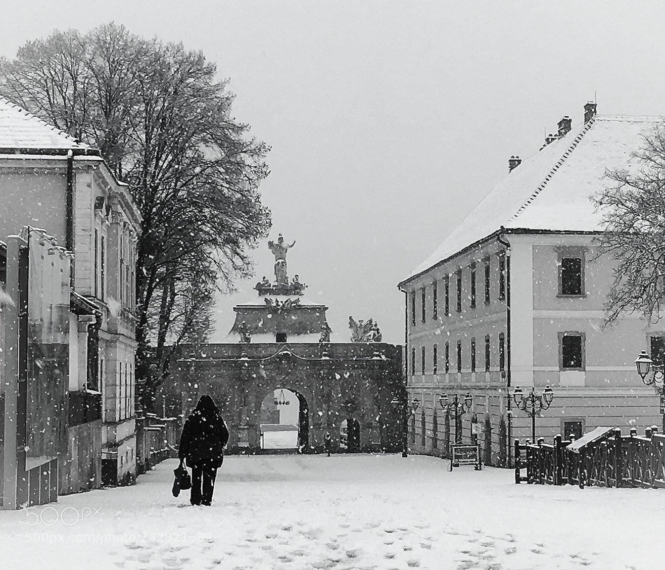 Apple iPhone 6s sample photo. Snowing in white... photography