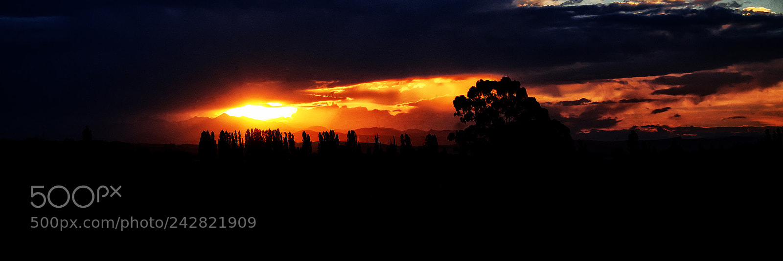 Fujifilm X-T1 sample photo. Sunset over the vineyards photography