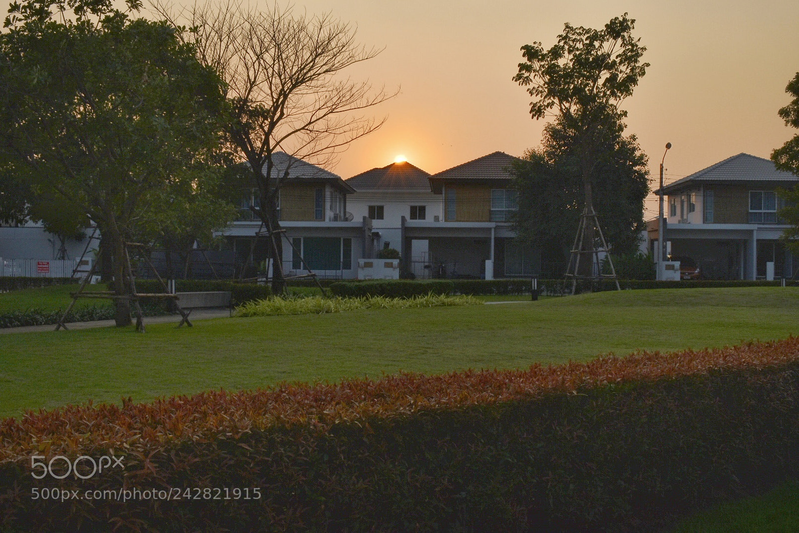 Nikon D5600 sample photo. Untitled photography