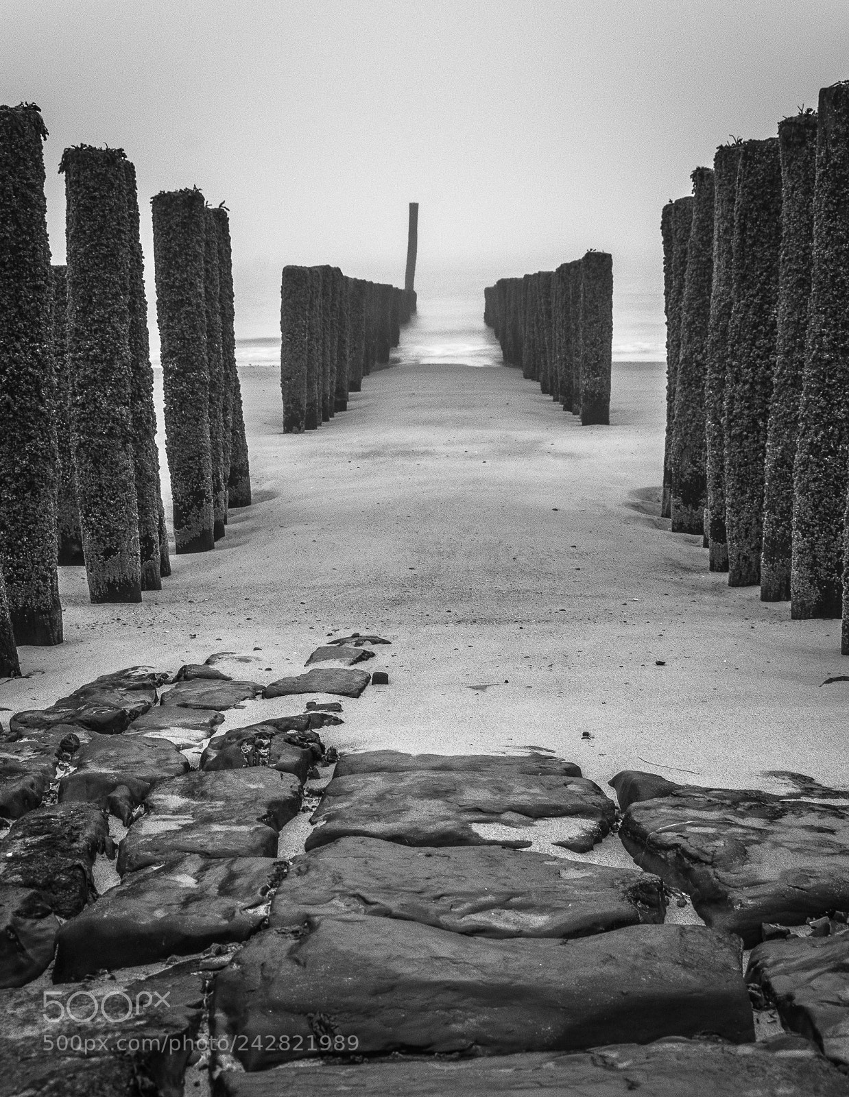 Nikon D7200 sample photo. Dutch coast photography