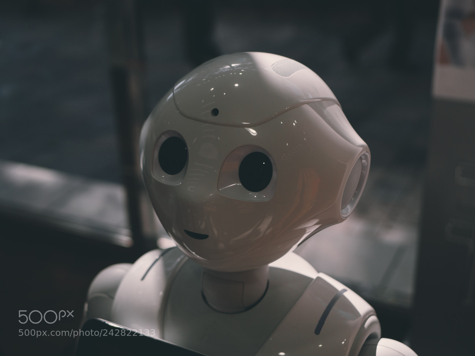 Olympus OM-D E-M10 sample photo. Friendly robot photography
