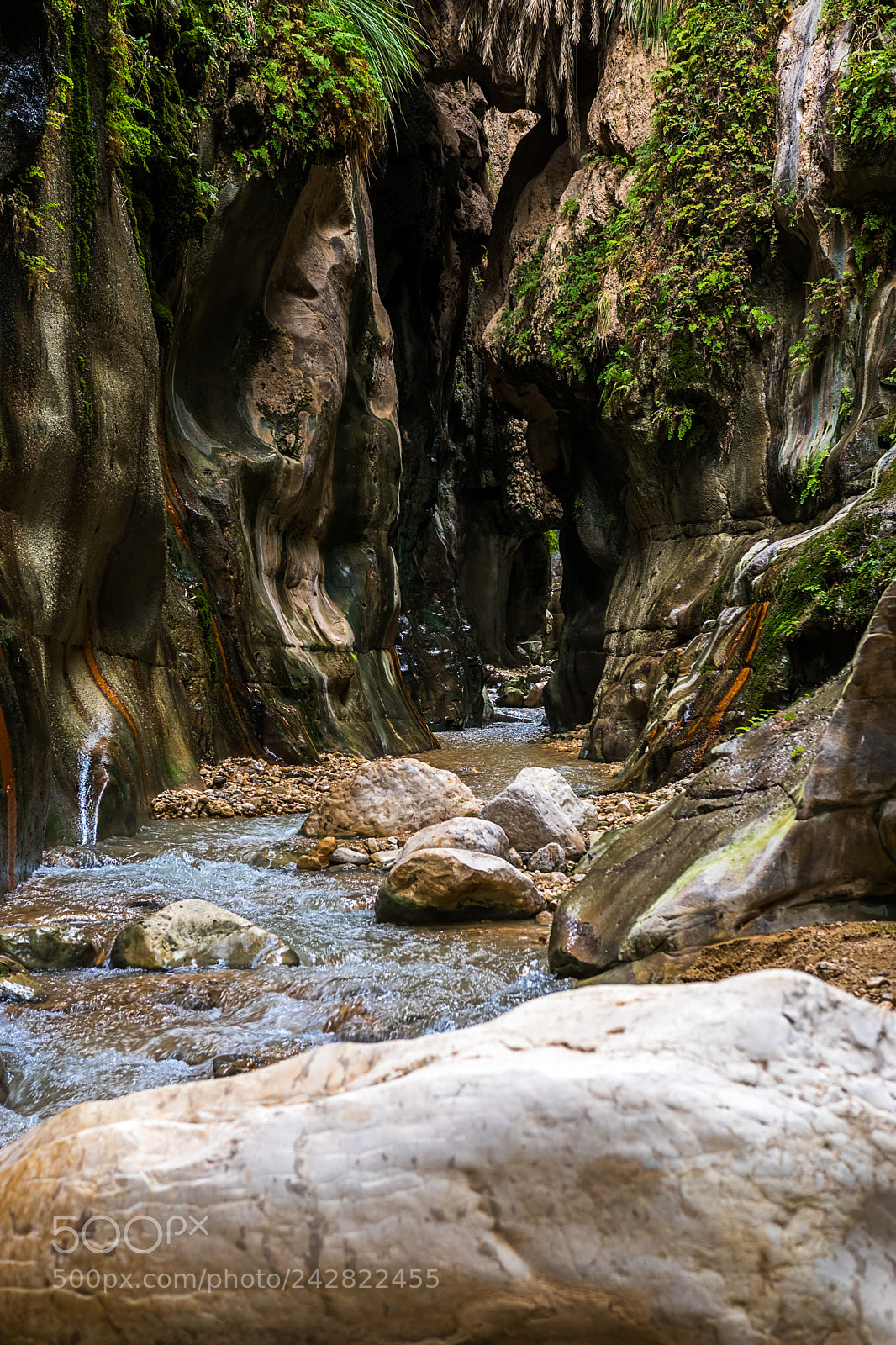 Sony ILCA-77M2 sample photo. Gorge-ous jordan photography