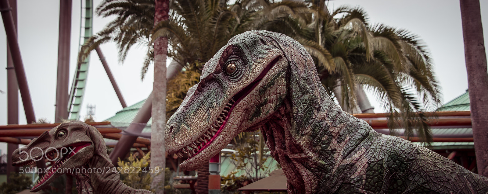 Nikon D800E sample photo. Jurassic park photography