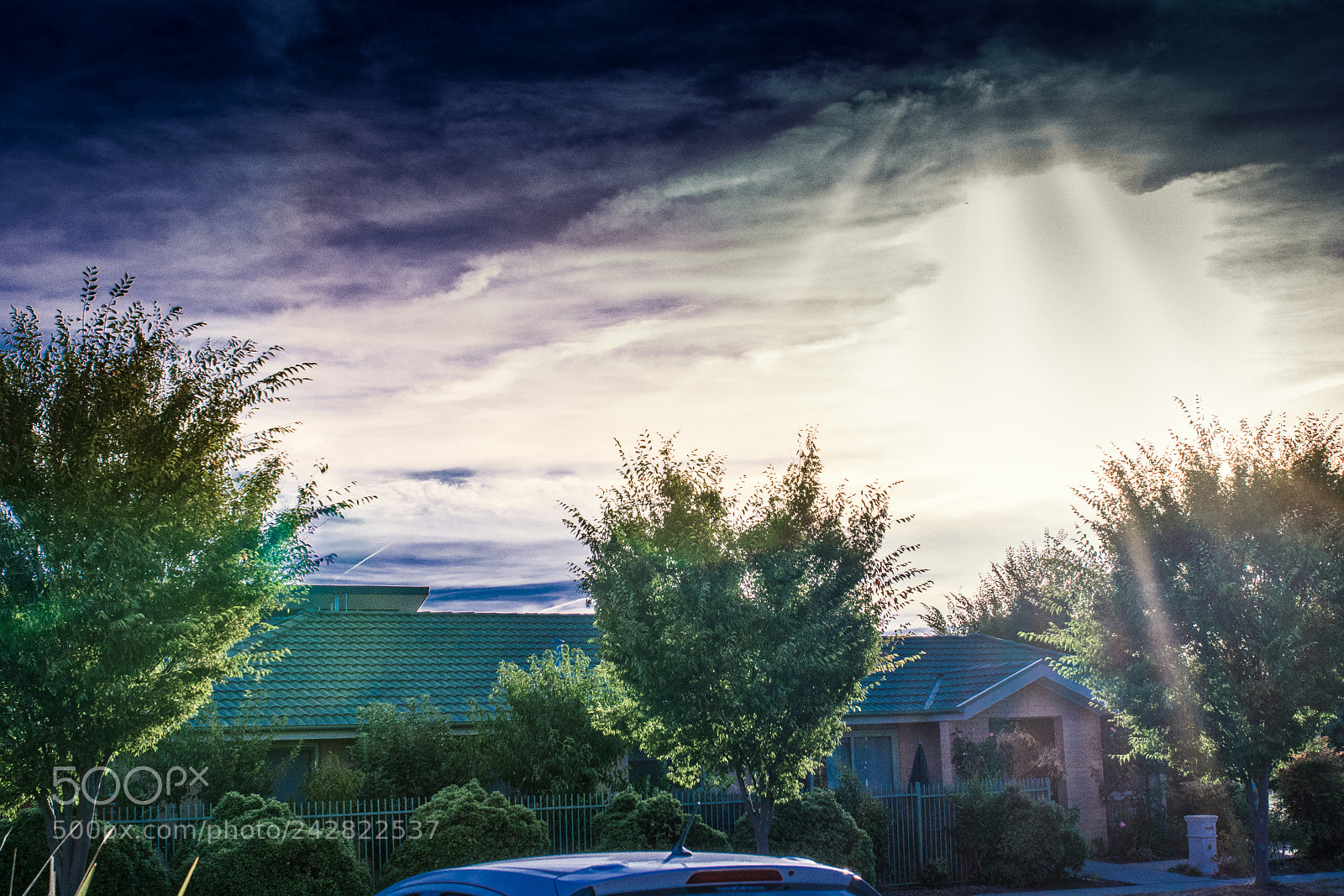 Nikon D500 sample photo. Sun shining through the photography