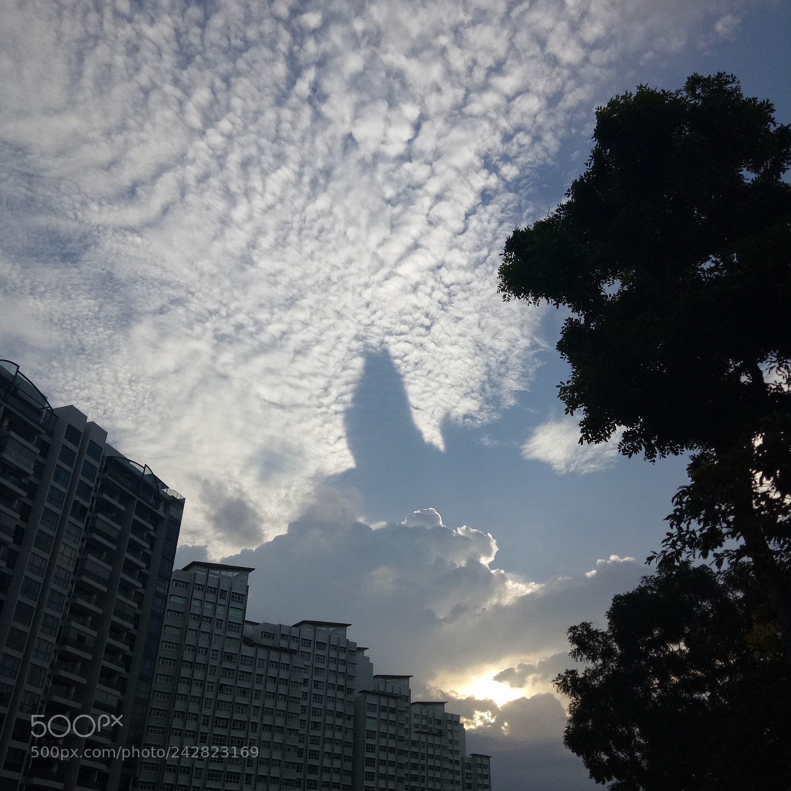 OPPO A1601 sample photo. Untitled photography