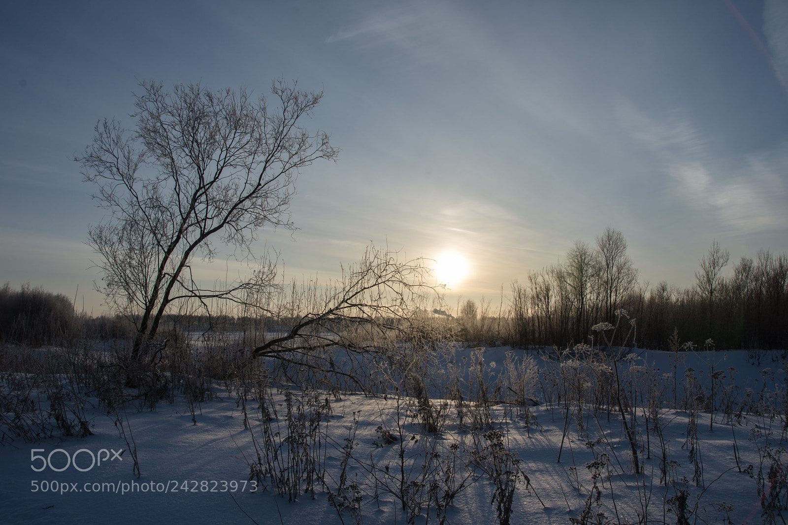 Nikon D7200 sample photo. Sunny day. photography