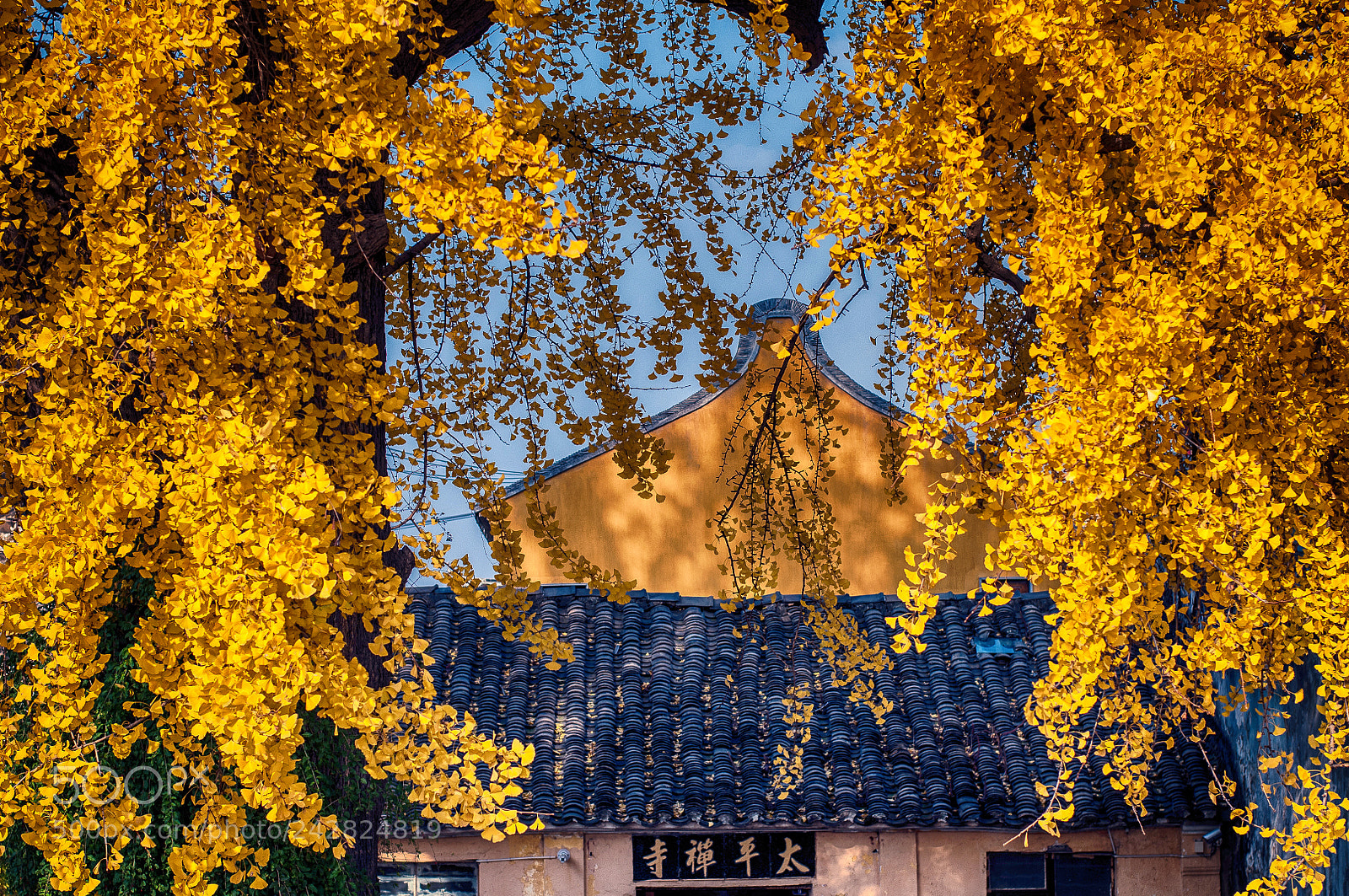 Nikon D90 sample photo. Temple photography