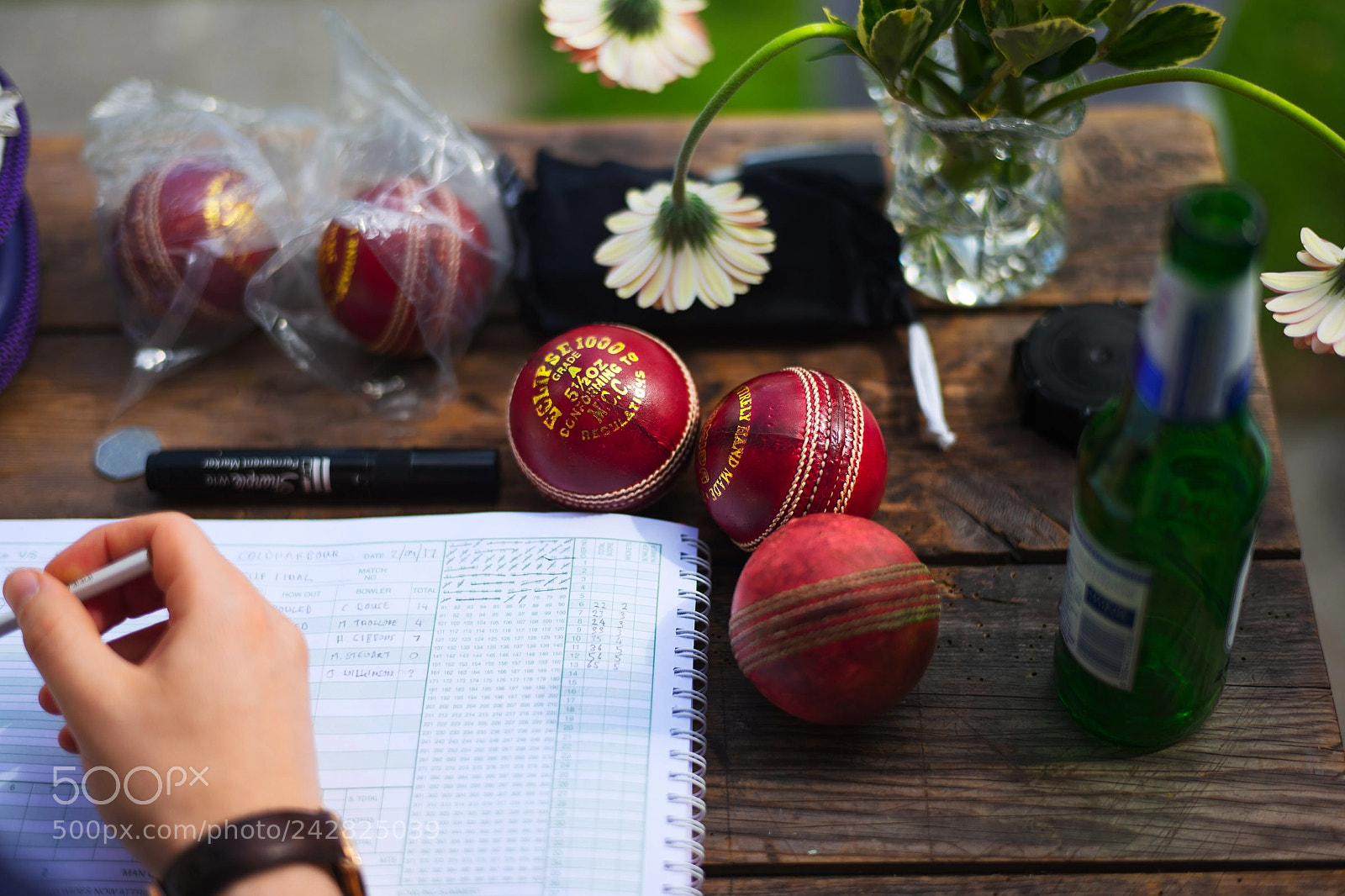 Leica SL (Typ 601) sample photo. Cricket photography