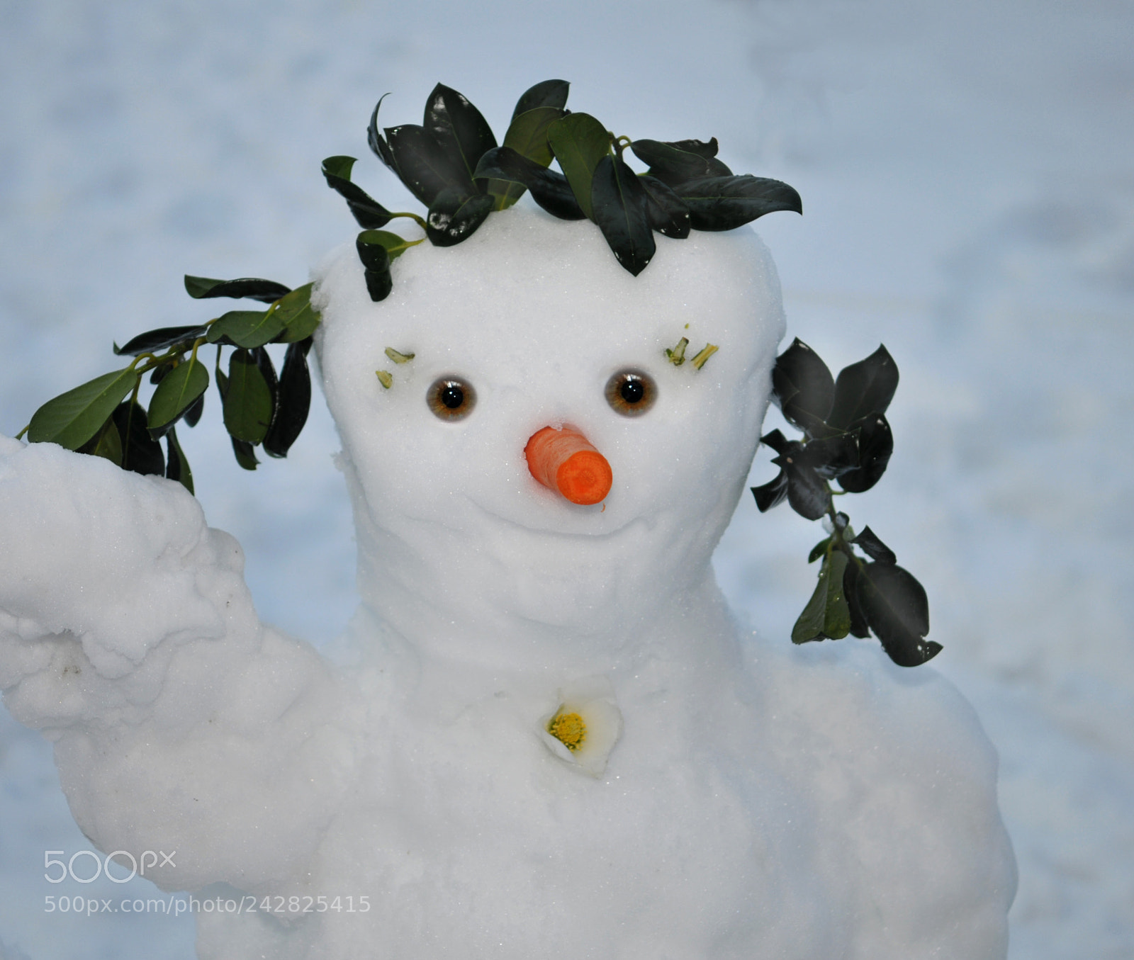 Nikon D300 sample photo. The snowman photography