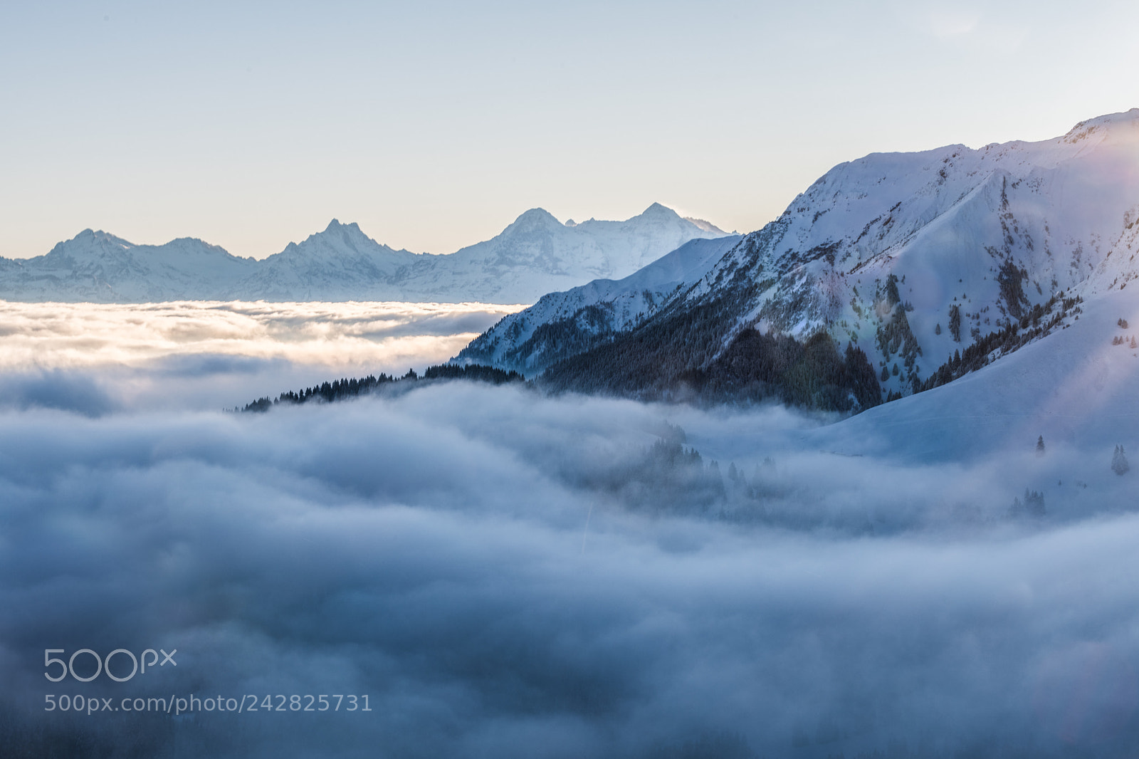 Nikon D850 sample photo. Above the fog photography