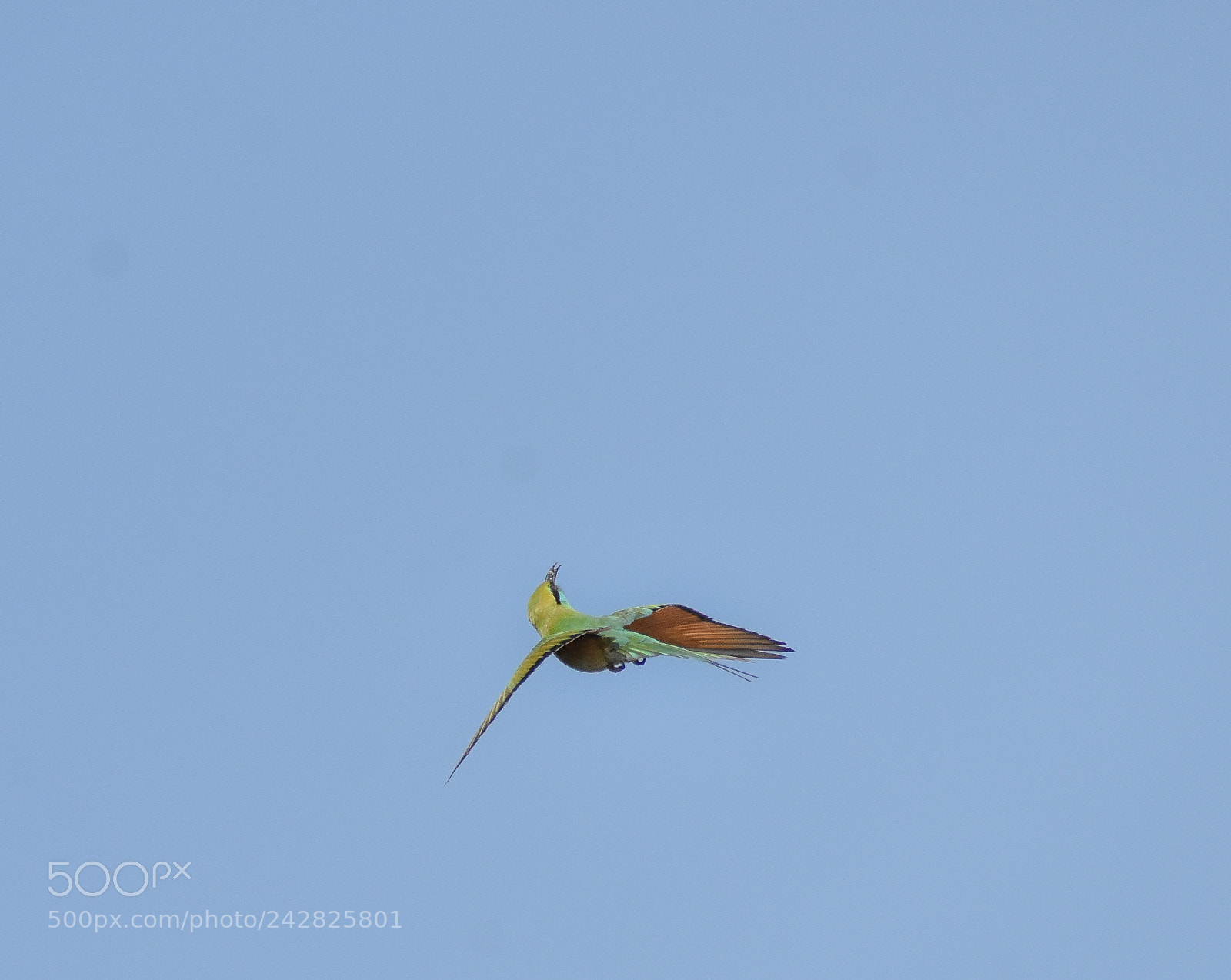 Nikon D3400 sample photo. Lets fly... photography