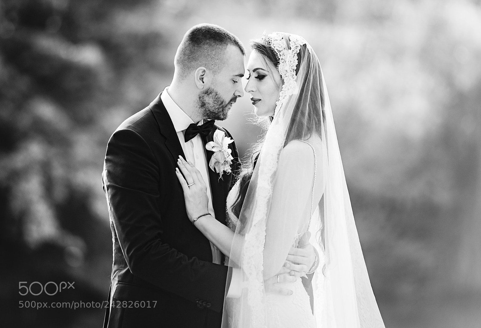 Nikon D600 sample photo. Moment in love photography