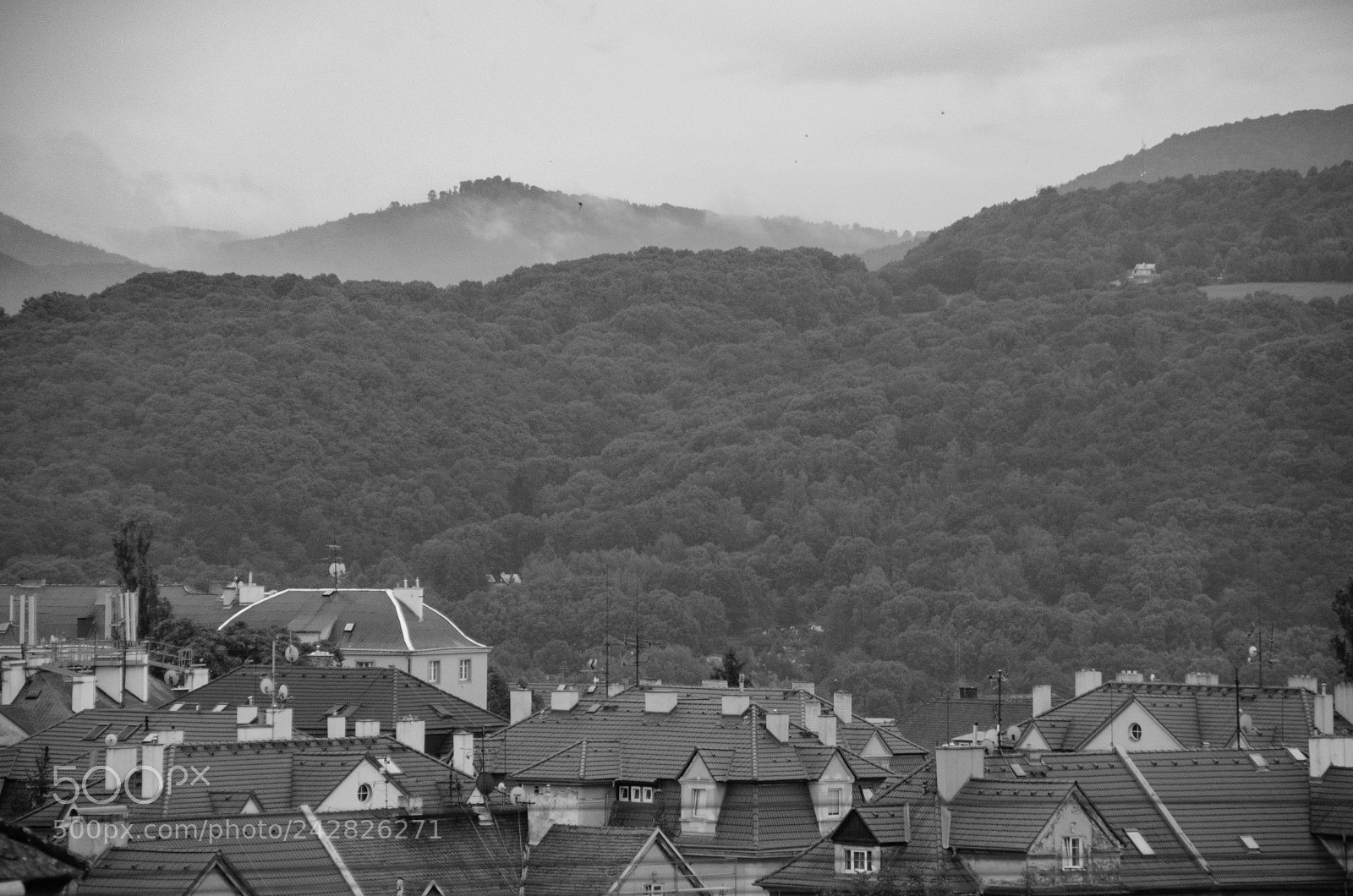 Nikon D5100 sample photo. Untitled photography