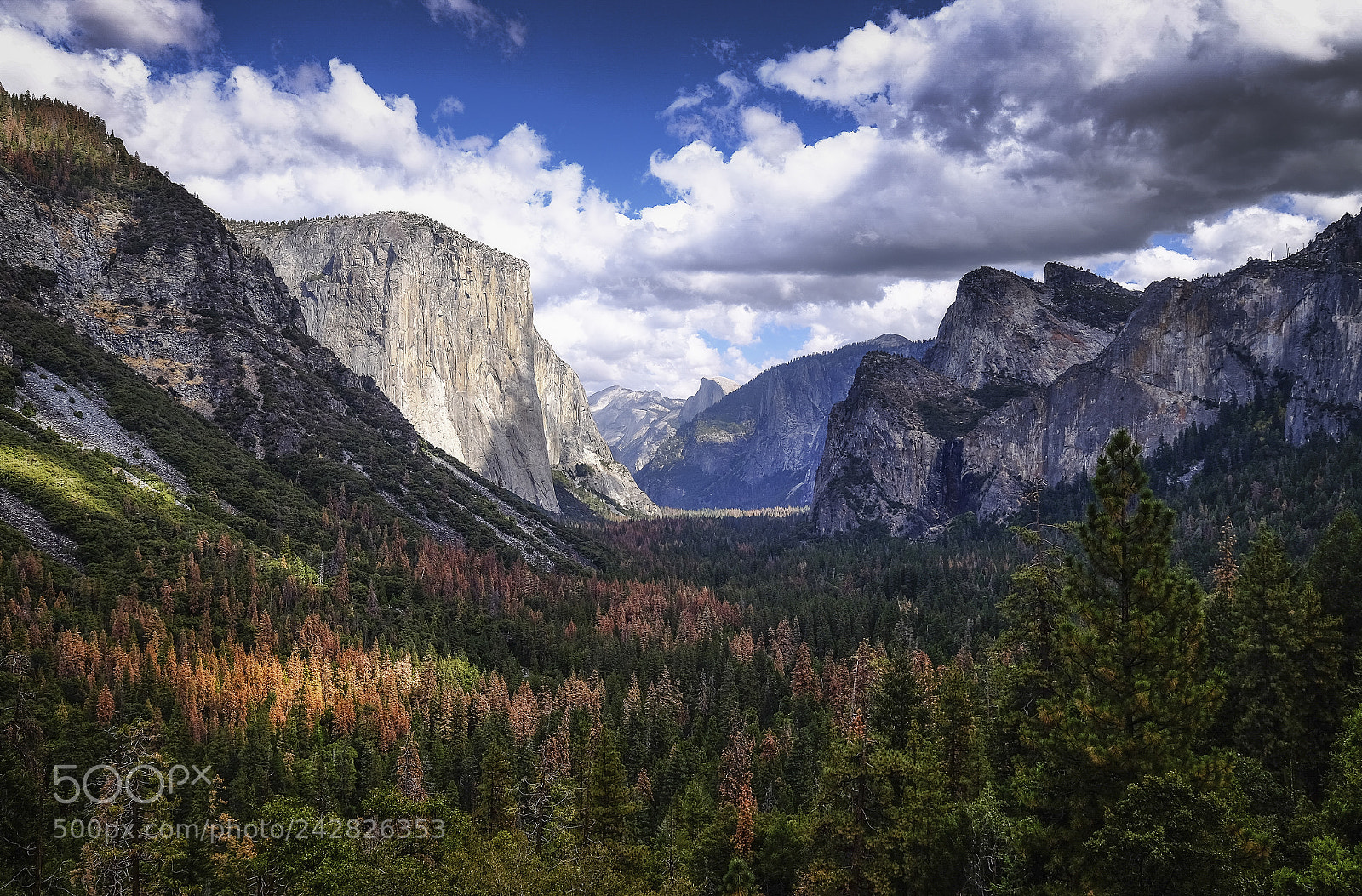 Fujifilm X-T1 sample photo. Yosemite photography