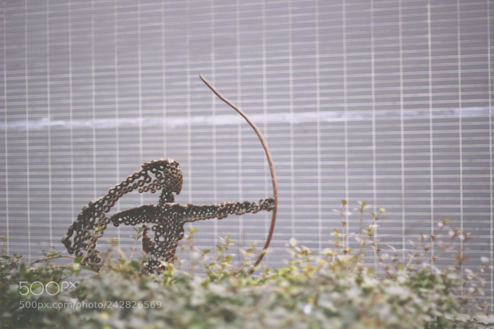 Canon EOS 60D sample photo. Mg photography