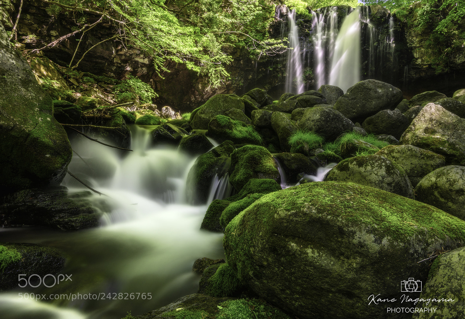 Nikon D810 sample photo. Stream of life photography