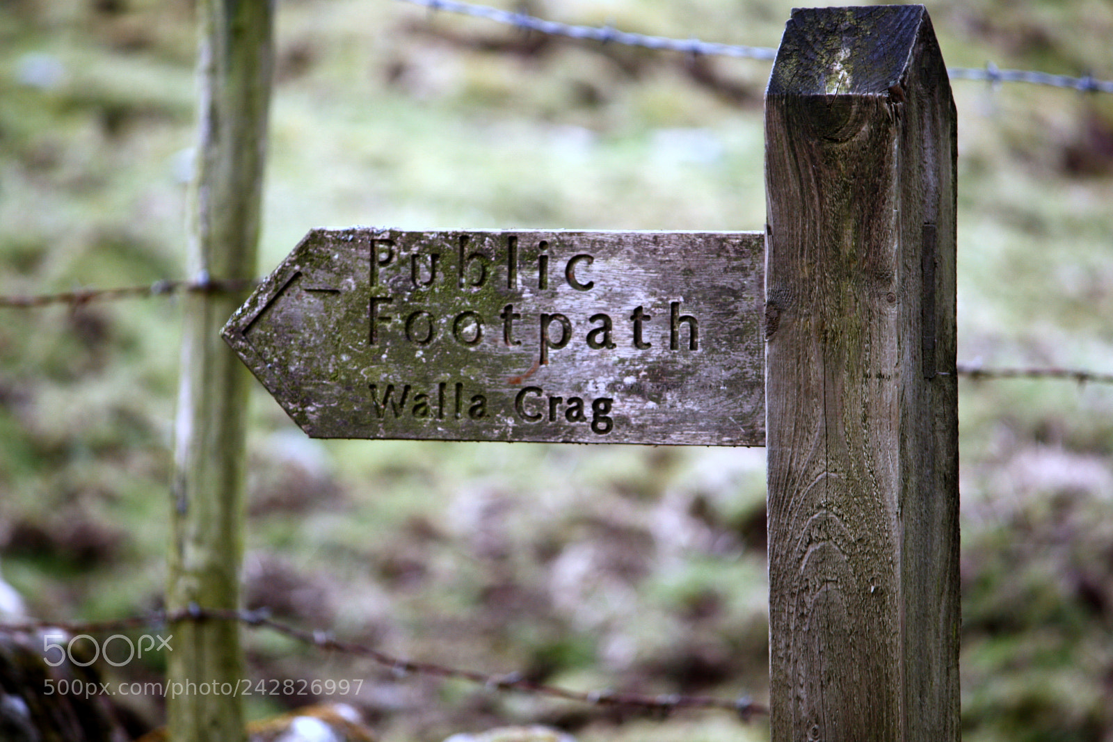 Canon EOS 450D (EOS Rebel XSi / EOS Kiss X2) sample photo. Walla crag sign photography