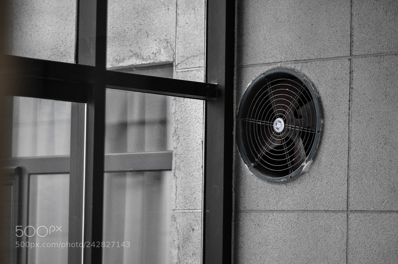 Nikon D90 sample photo. Untitled photography