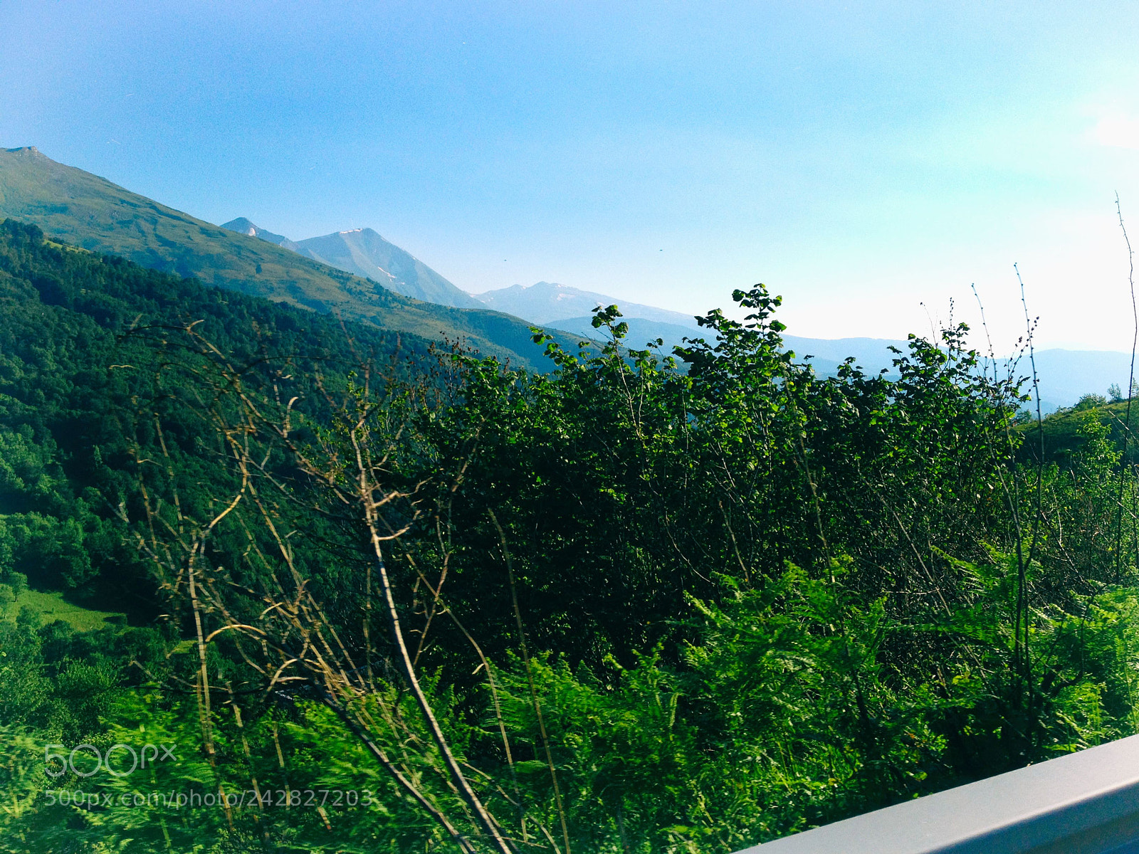 Apple iPhone 4S sample photo. Nature photography