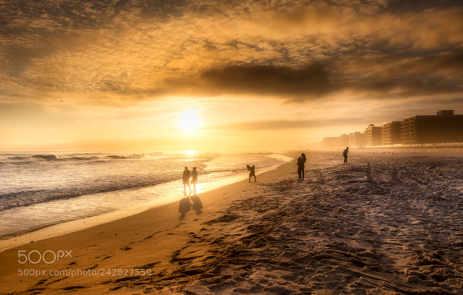 Nikon D850 sample photo. Fun at the beach photography
