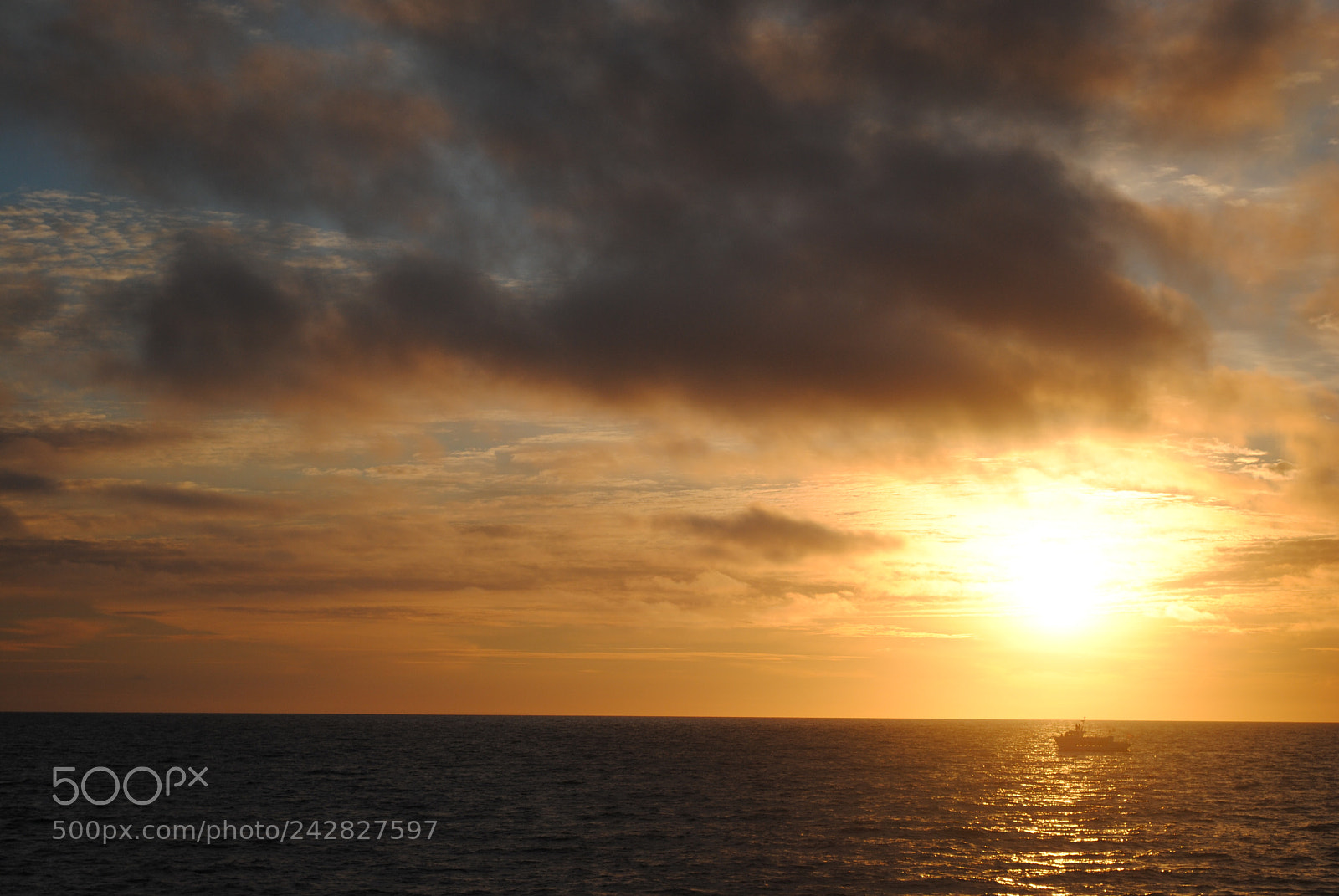 Nikon D3000 sample photo. Twilight cruiser photography