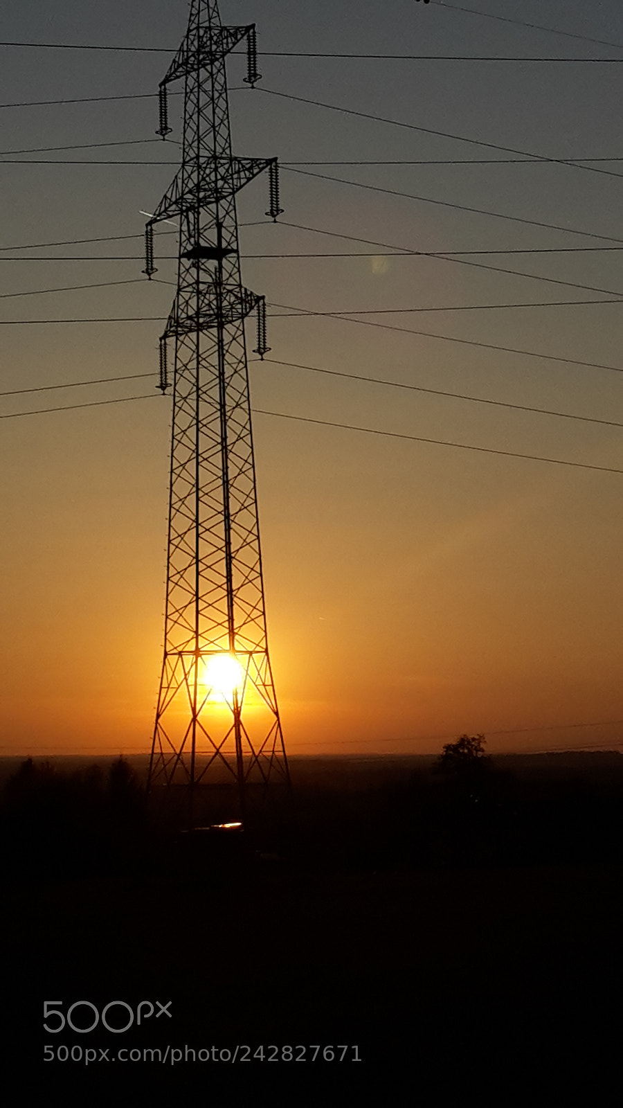 Samsung Galaxy S5 Mini sample photo. Untitled photography