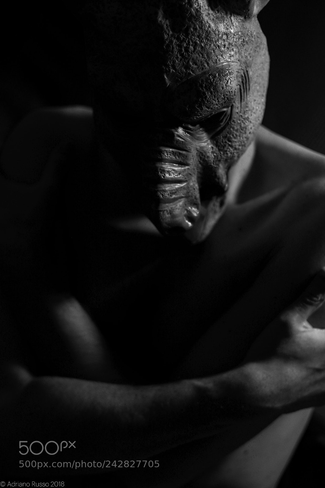 Canon EOS 7D Mark II sample photo. Porco grigio photography
