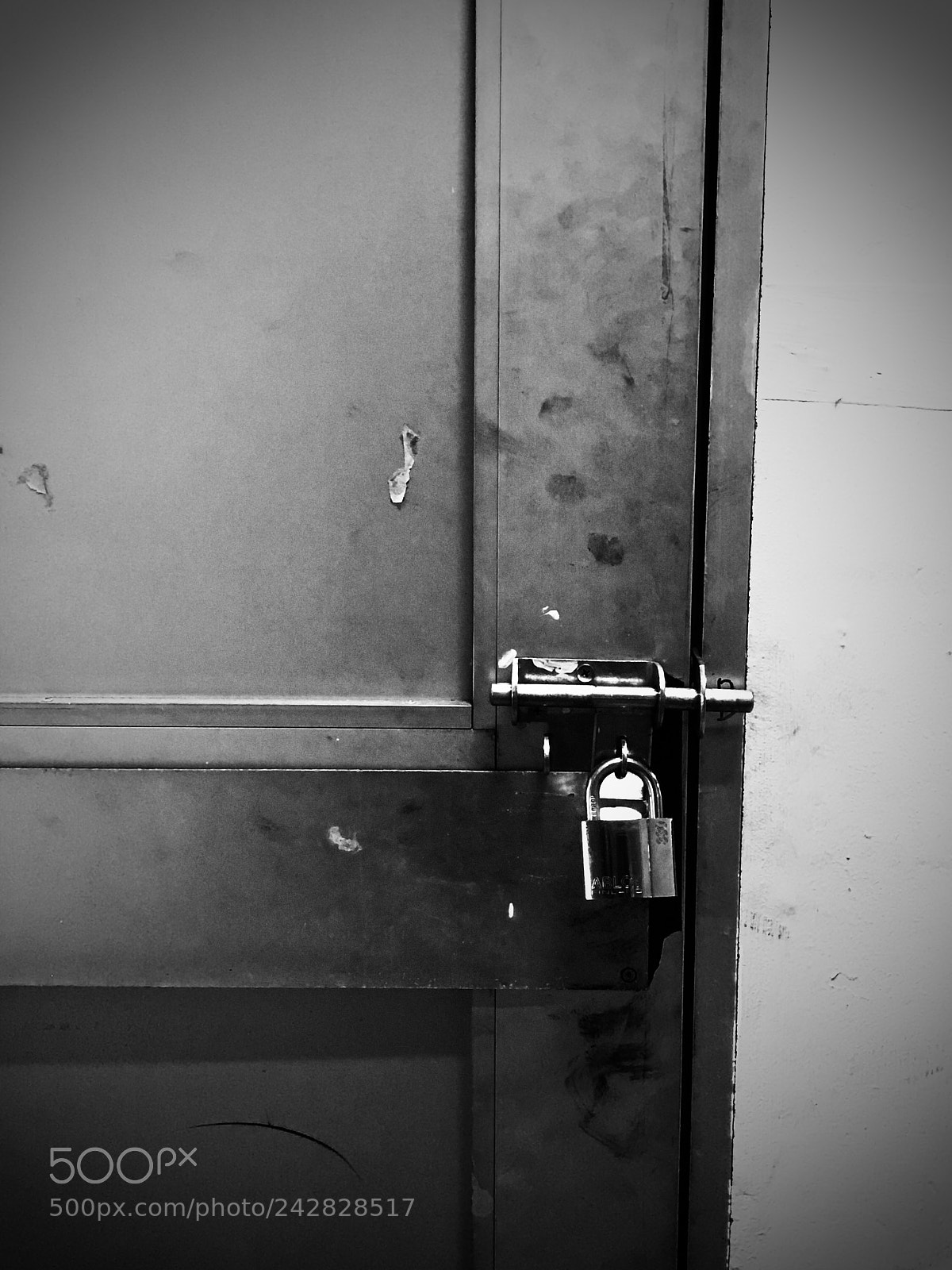Apple iPhone 7 Plus sample photo. Untitled photography