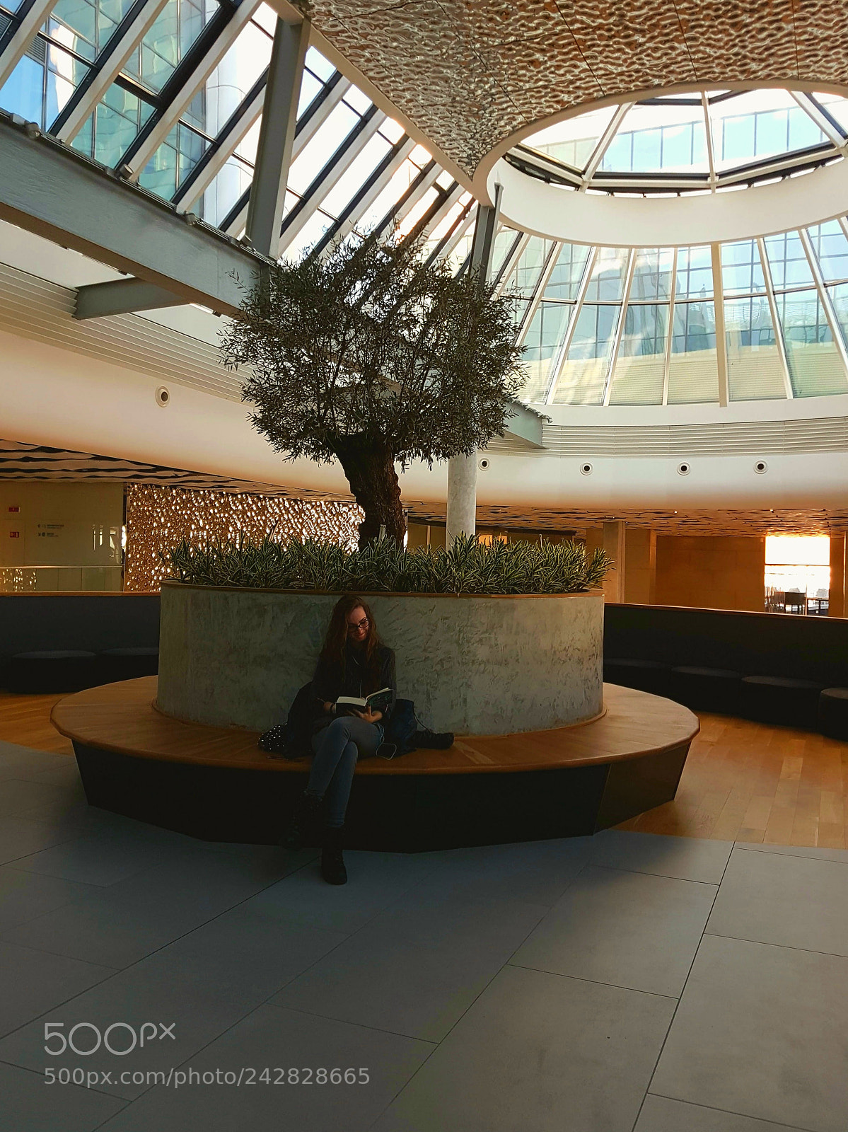Samsung Galaxy S7 Edge sample photo. Girl and a tree. photography