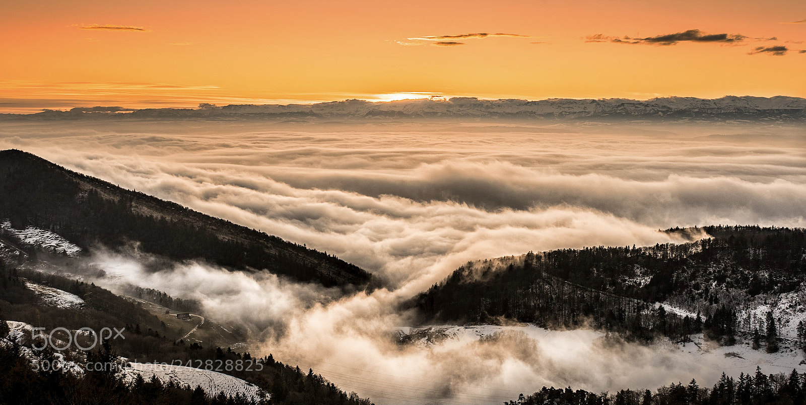 Sony a7R sample photo. Ein anderes foto vom photography