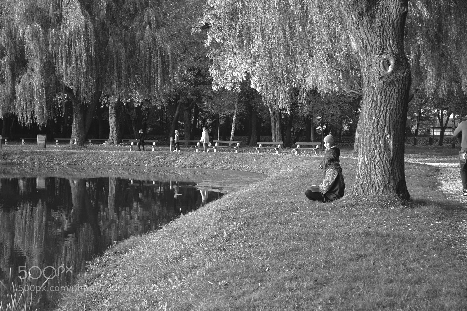 Nikon D3100 sample photo. Park photography