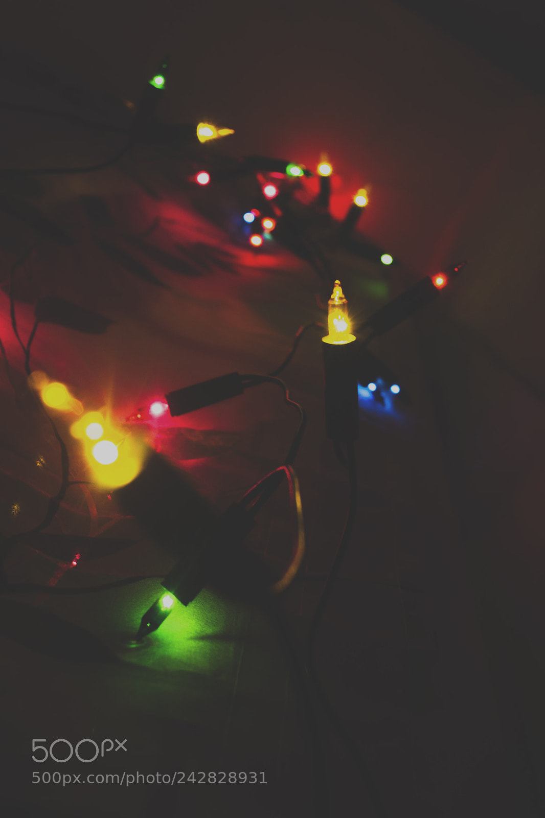 Nikon D3100 sample photo. Lights photography