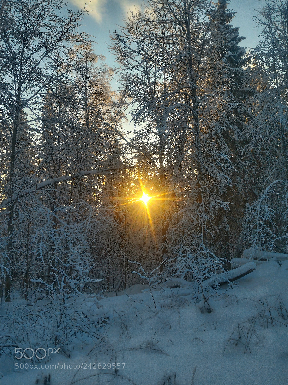 ASUS ZenFone 2 (ZE551ML) sample photo. The sun in the photography