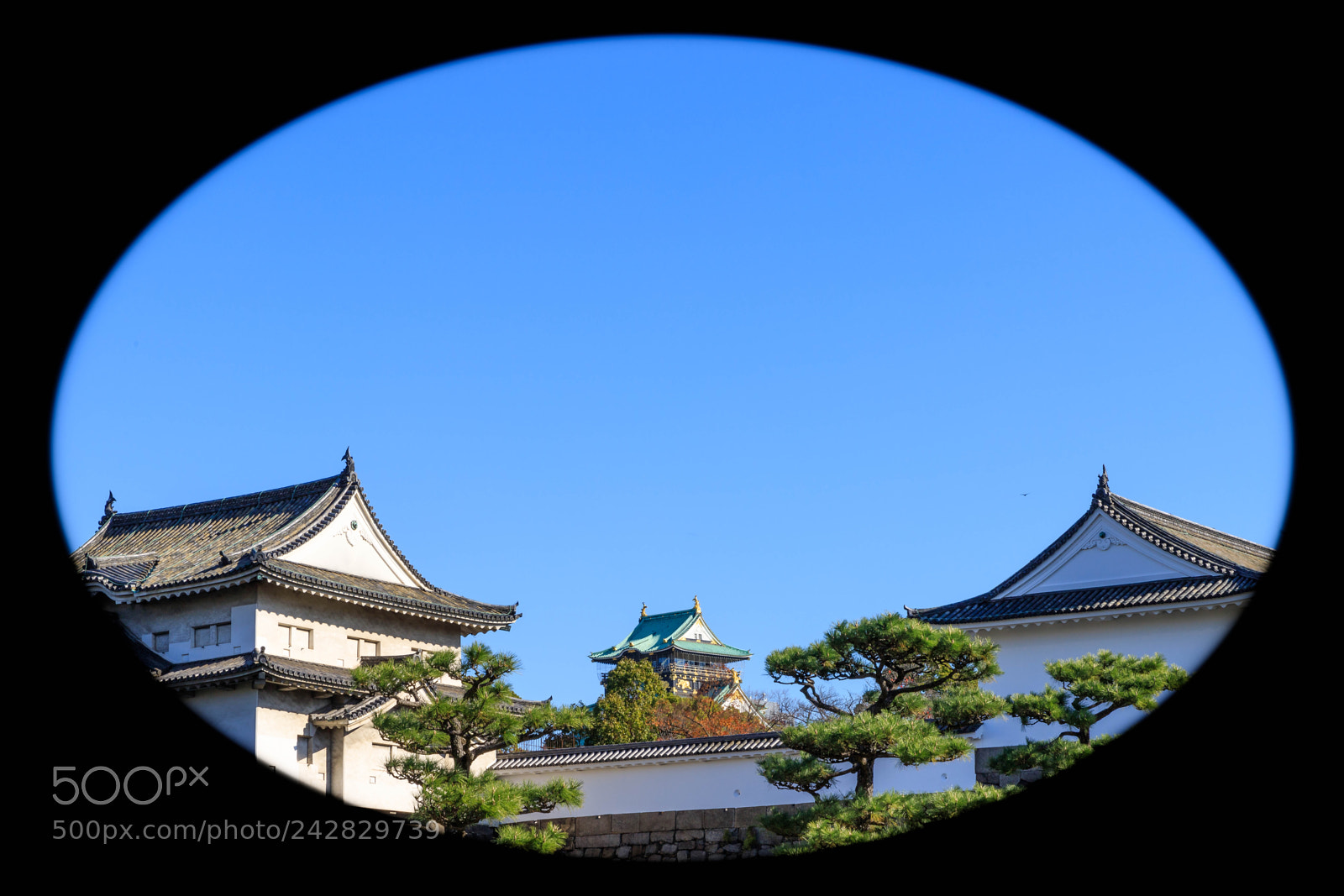 Canon EOS 6D Mark II sample photo. Looking glass photography