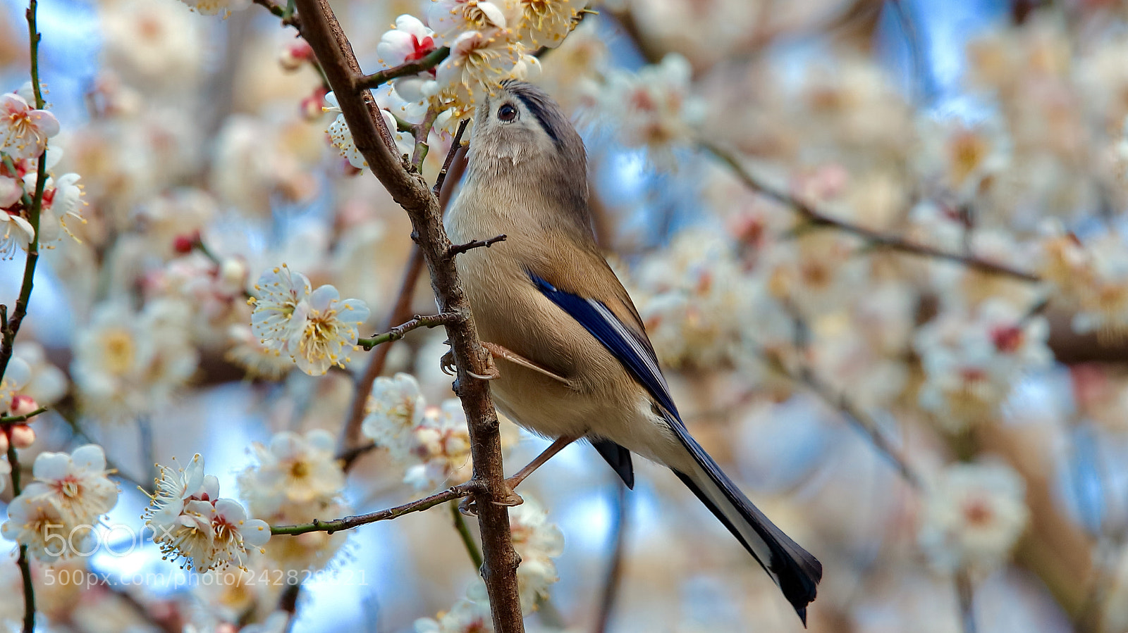Canon EOS 5DS sample photo. Untitled photography