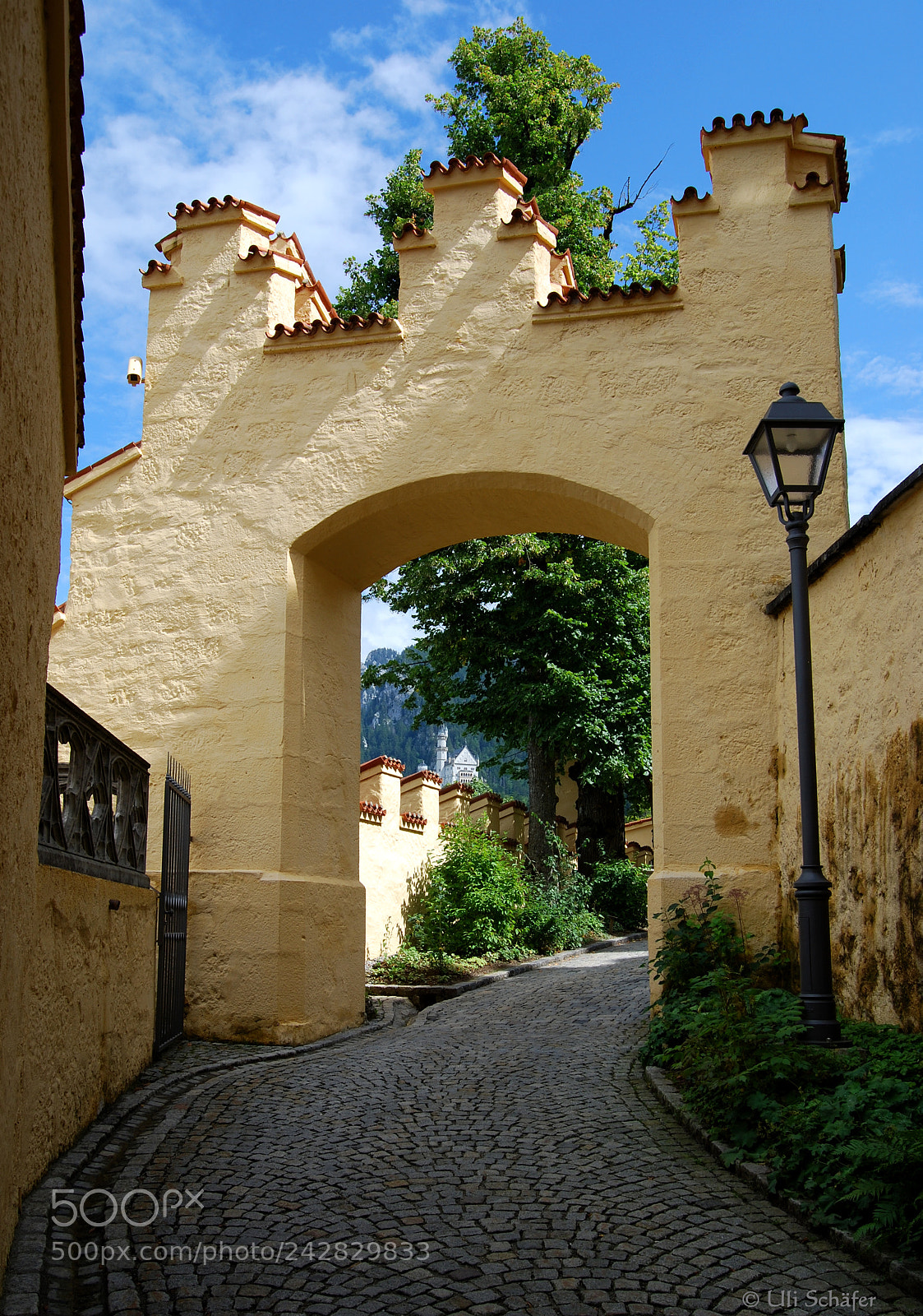Nikon D40X sample photo. " schloss neuschwanstein " photography