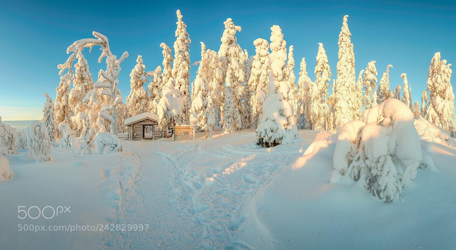 Nikon D810 sample photo. Welcome to winter wonderland photography