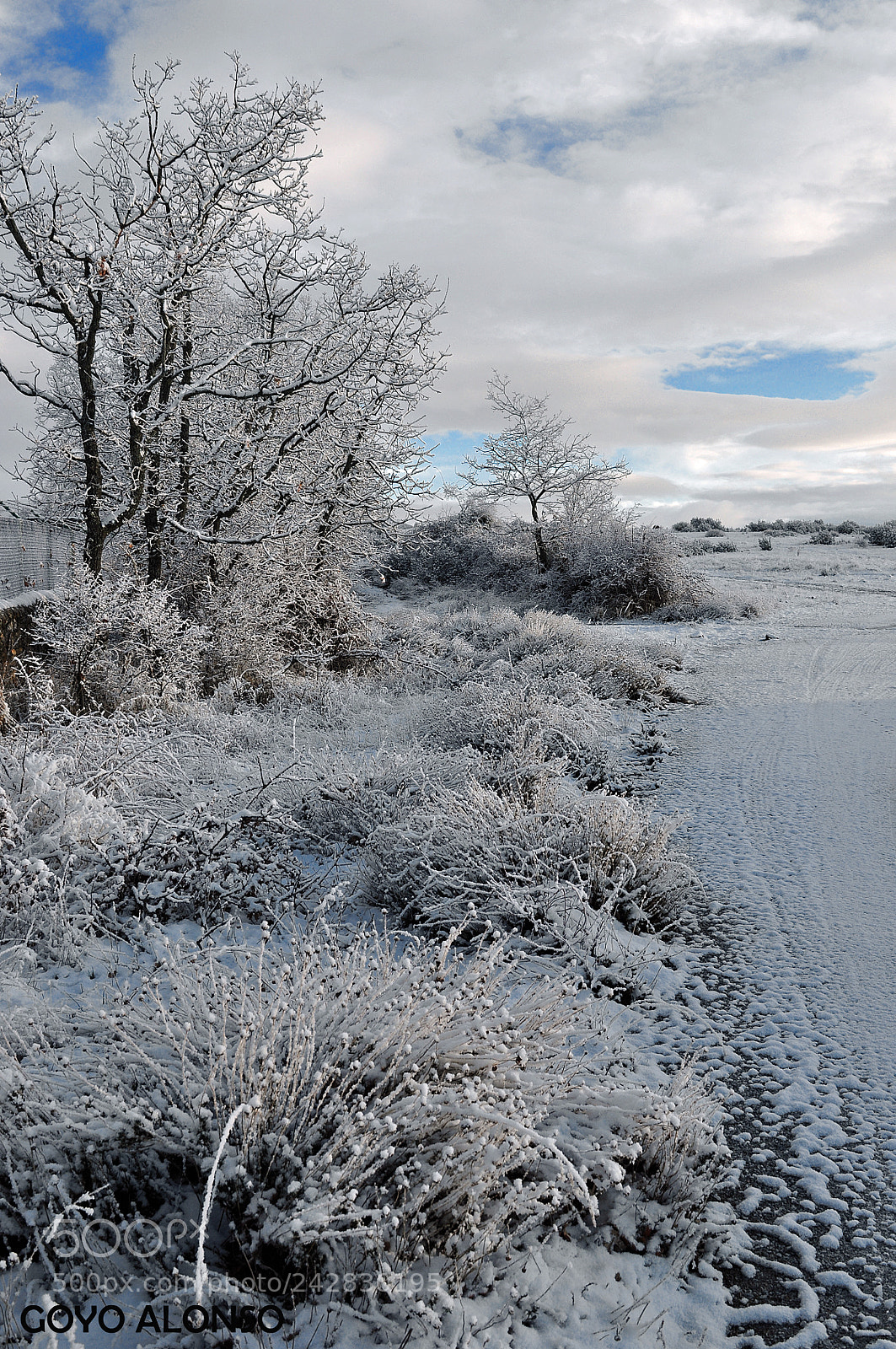 Nikon D5000 sample photo. Paisaje nevado photography