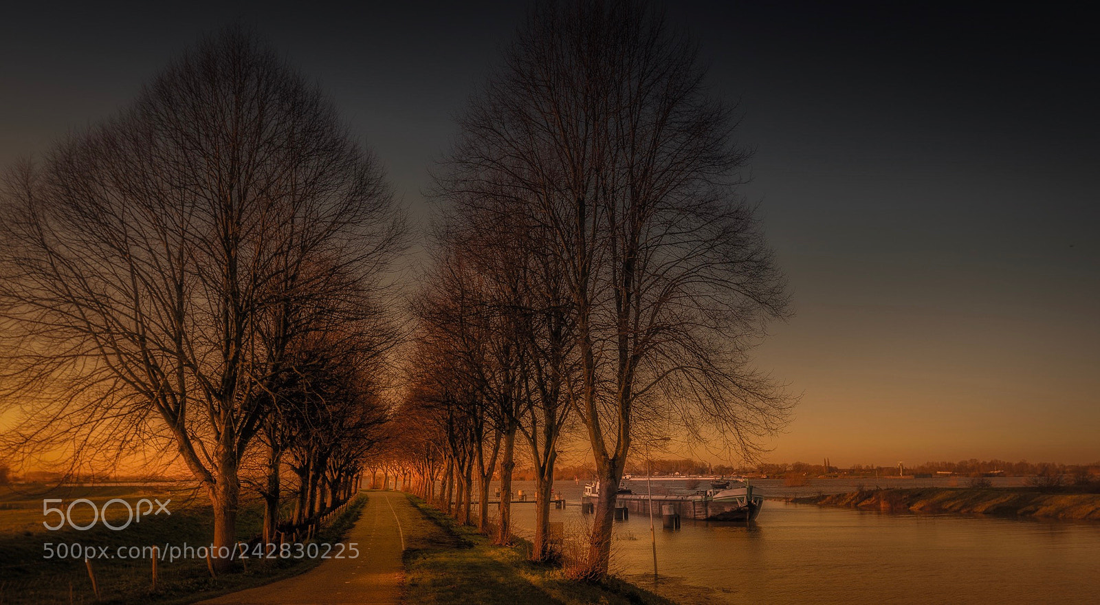 Nikon D7500 sample photo. Along the river photography
