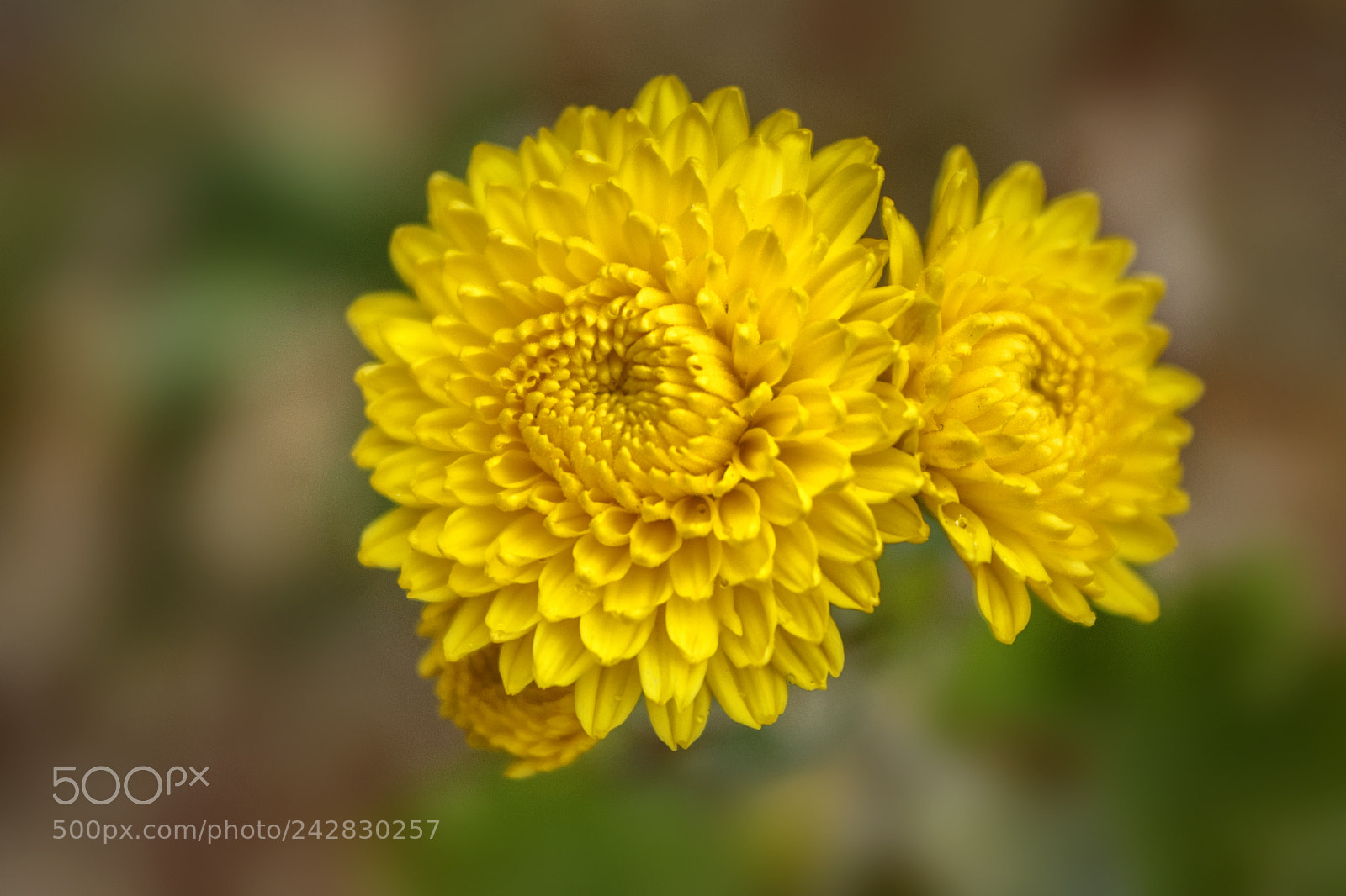Nikon D90 sample photo. ... photography