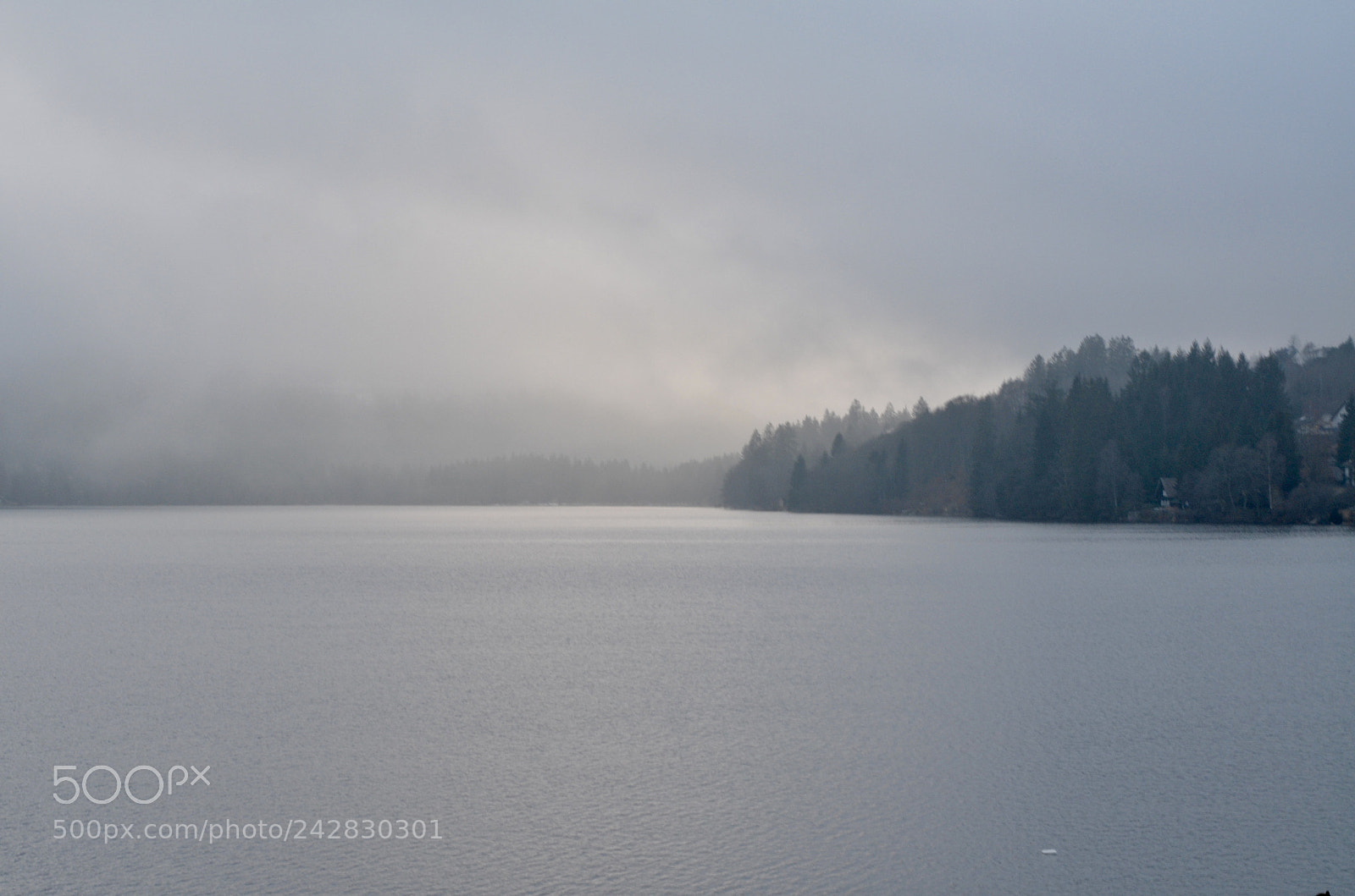 Nikon D5100 sample photo. Lake titisee photography